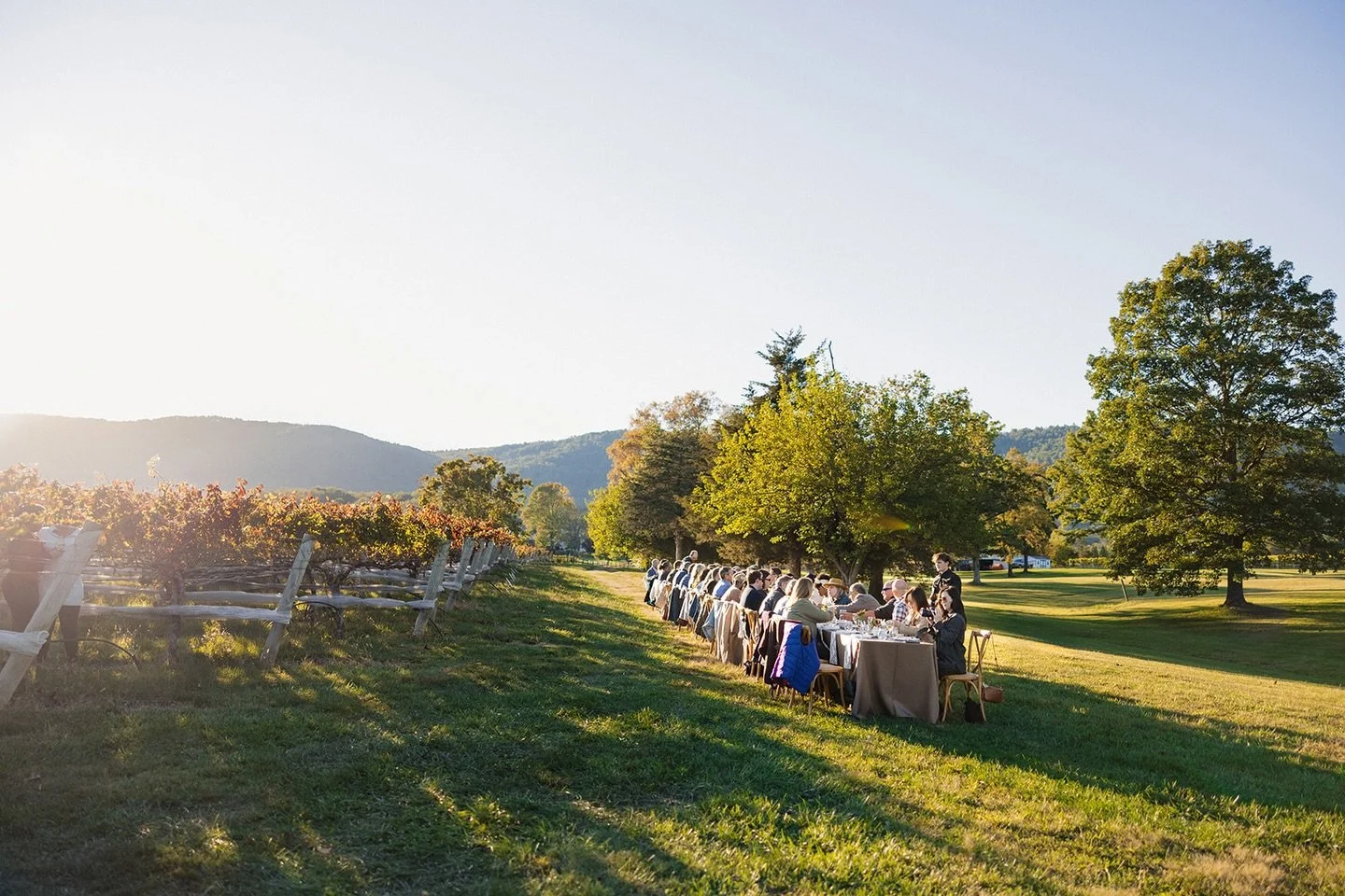 May your table be full, the laughter around it abundant, and your gathering a grateful celebration of the season. Regardless of what happens today, please make sure you slow down, look around, and savor the moment. That&rsquo;s the whole point, after