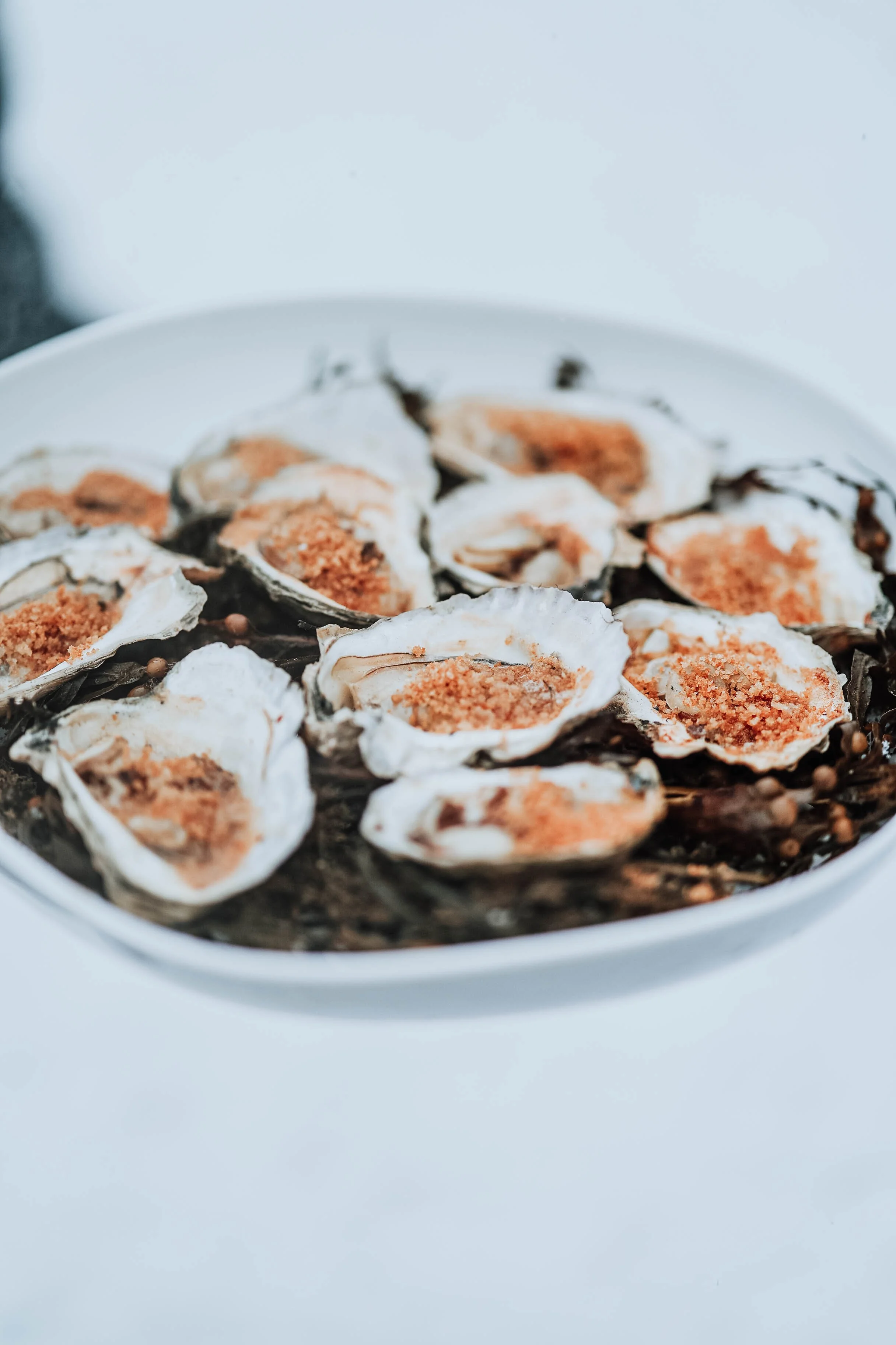 SECRETSUPPER-FLANAGANFARM-75.jpg