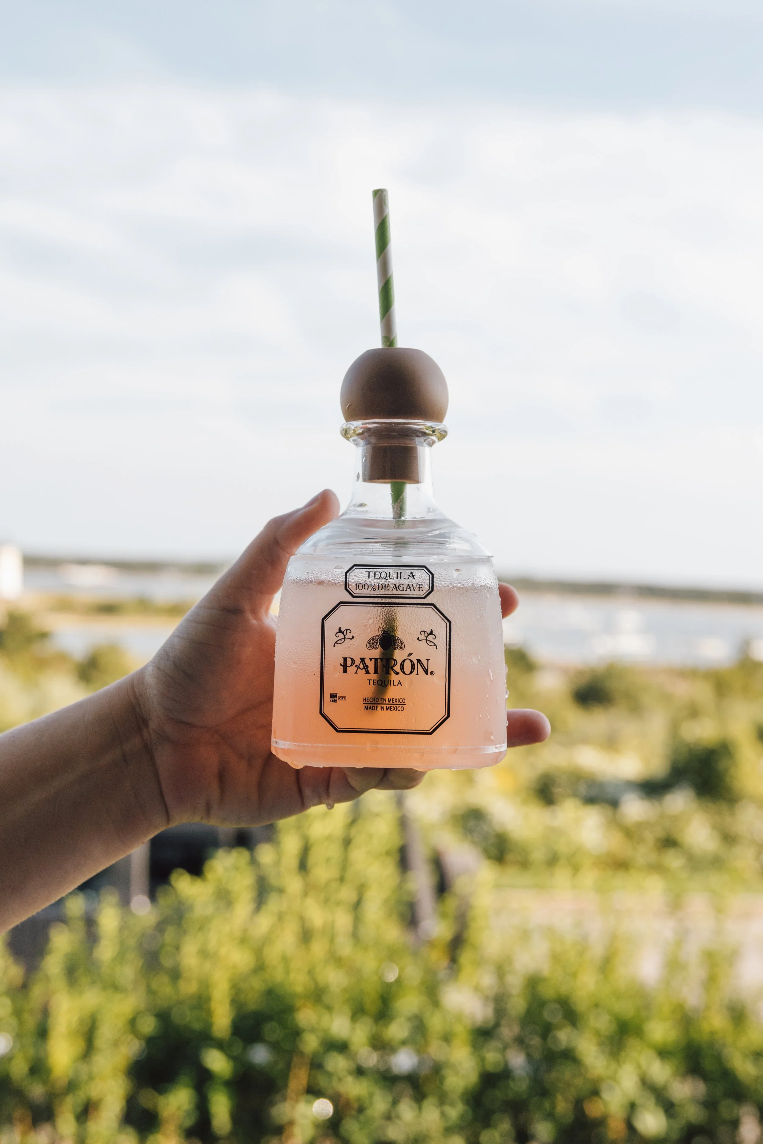 Marthas Vineyard-2025-56.jpg