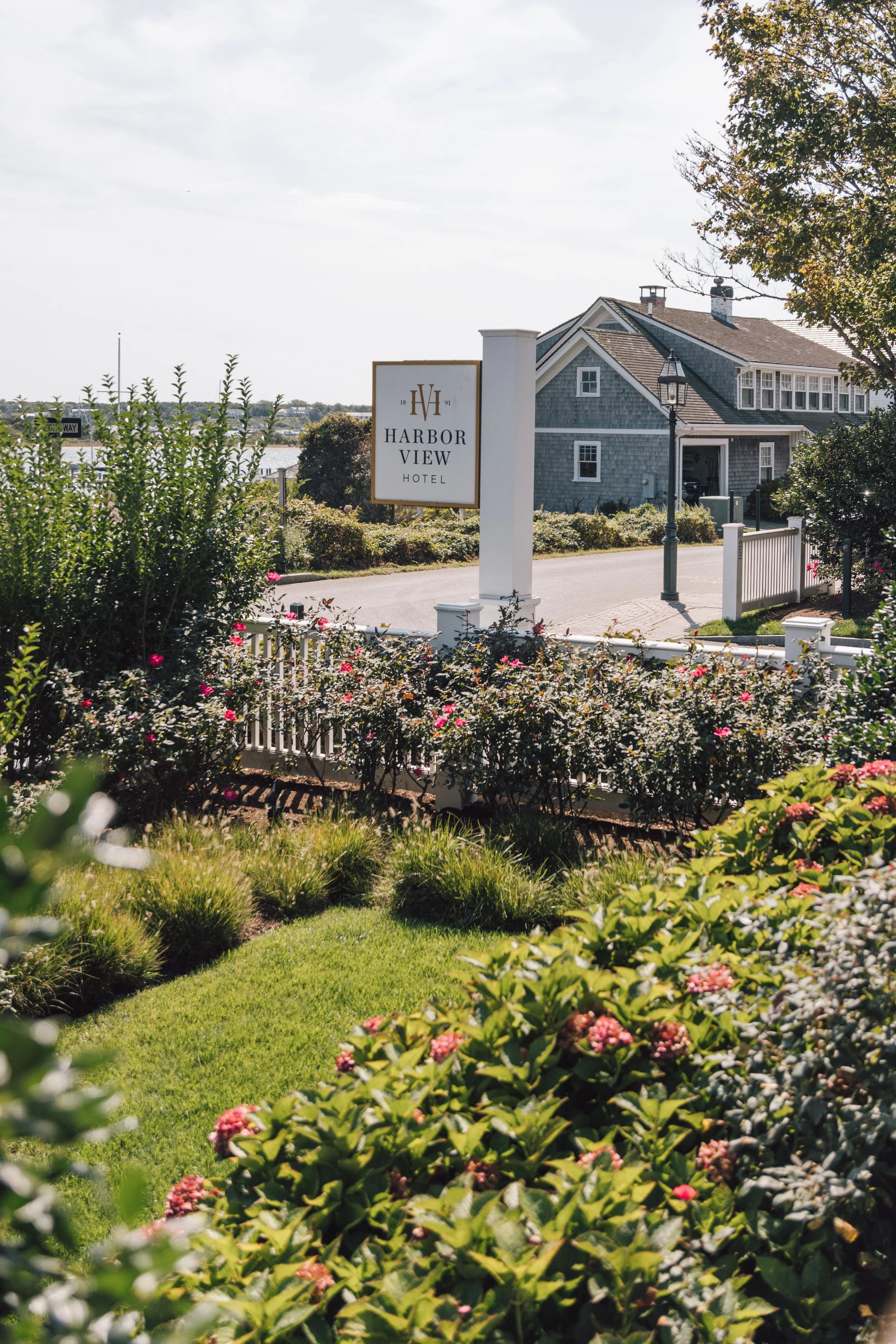 Marthas Vineyard-2025-3.jpg