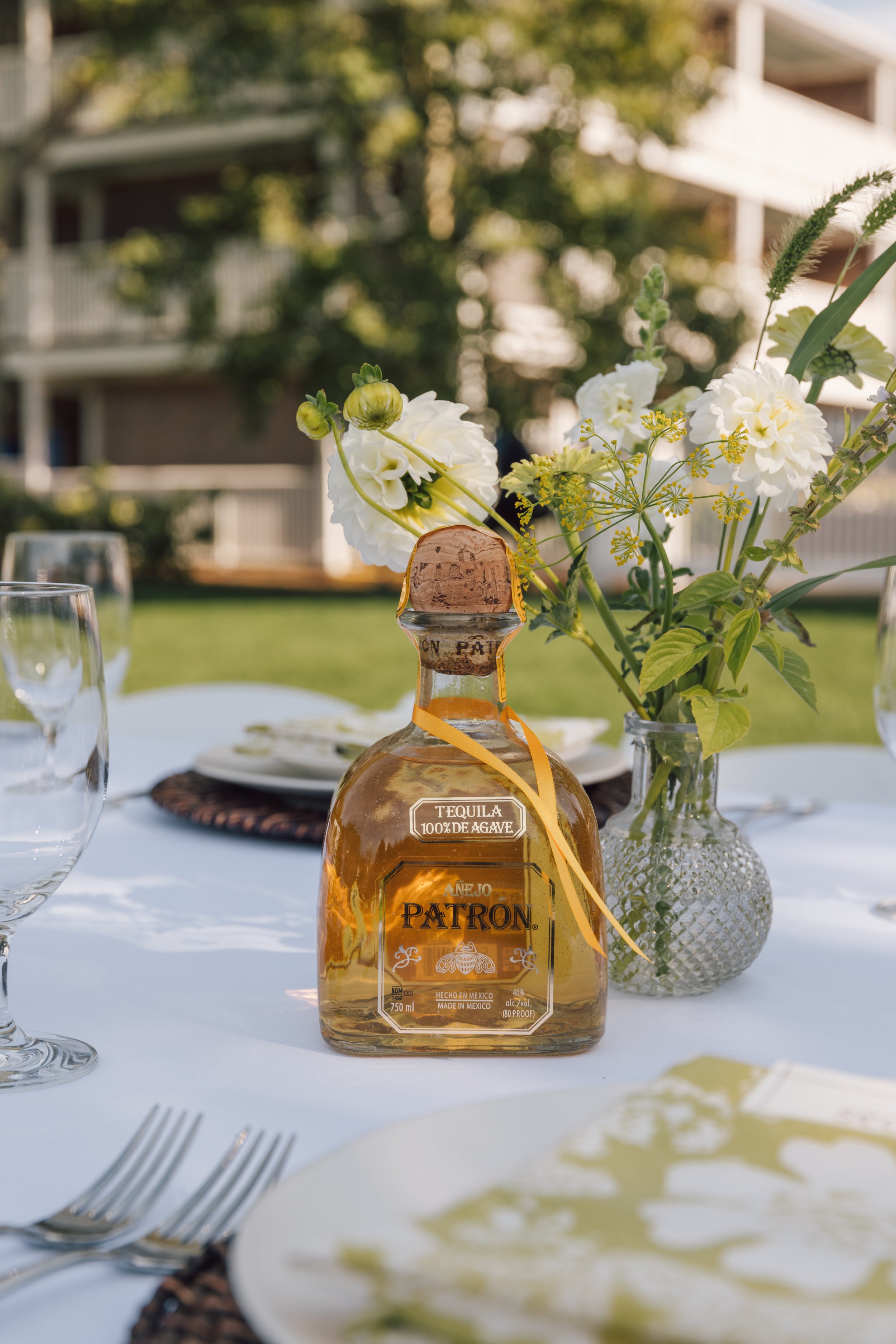 Marthas Vineyard-2025-40.jpg