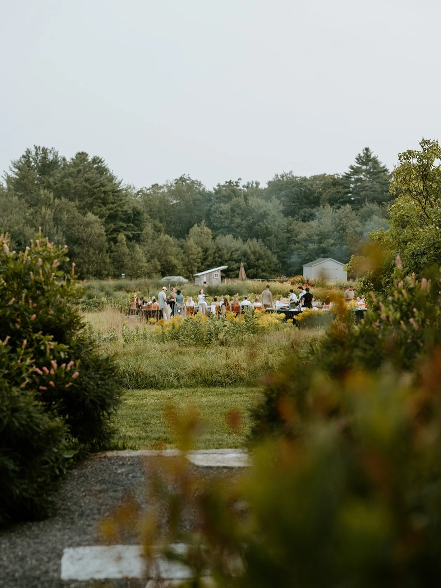 After a wonderful weekend of chilly, snowy Suppers we are dreaming of springtime gatherings! This is your last call to sign up for the mailing list for our Spring Supper release this week! Subscribers will receive an exclusive link on Wednesday to us
