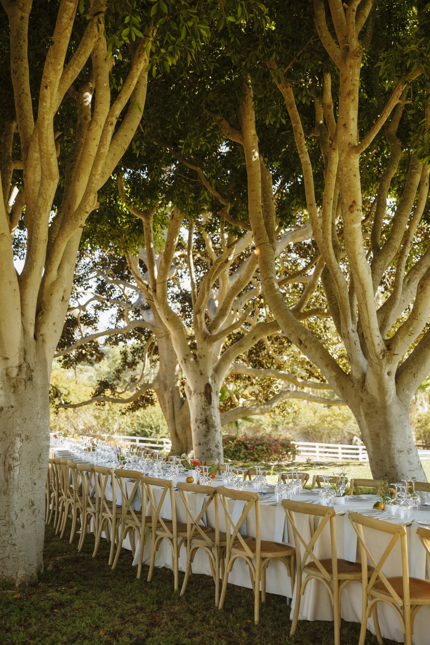 SS_SanDiego 2025_057.jpg