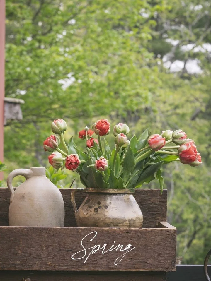 Welcome Spring! The season starts humble, with crocus flowers blooming with bowed heads, tears of frost streaming from their tired eyes. By the end of the season, though, the whole world is dressed in frothy wildflowers and shades of iridescent green