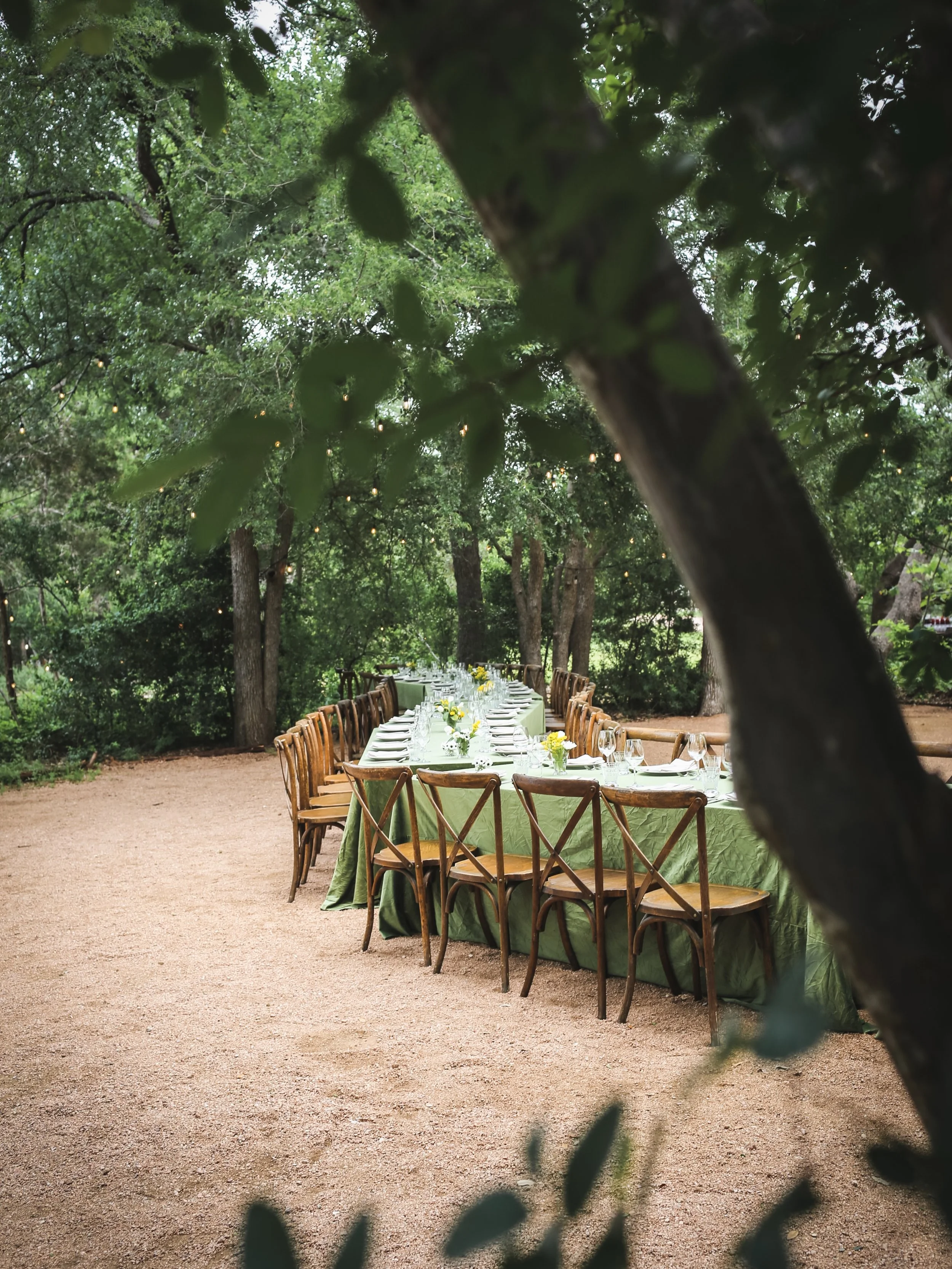 @thewildflowerbarn took us back to the early days of Secret Supper with its winding paths past burbling fountains, glowy golden lights floating in the lazily stretching trees, and the rustic beauty of Texas Hill Country. This magical spot became an e