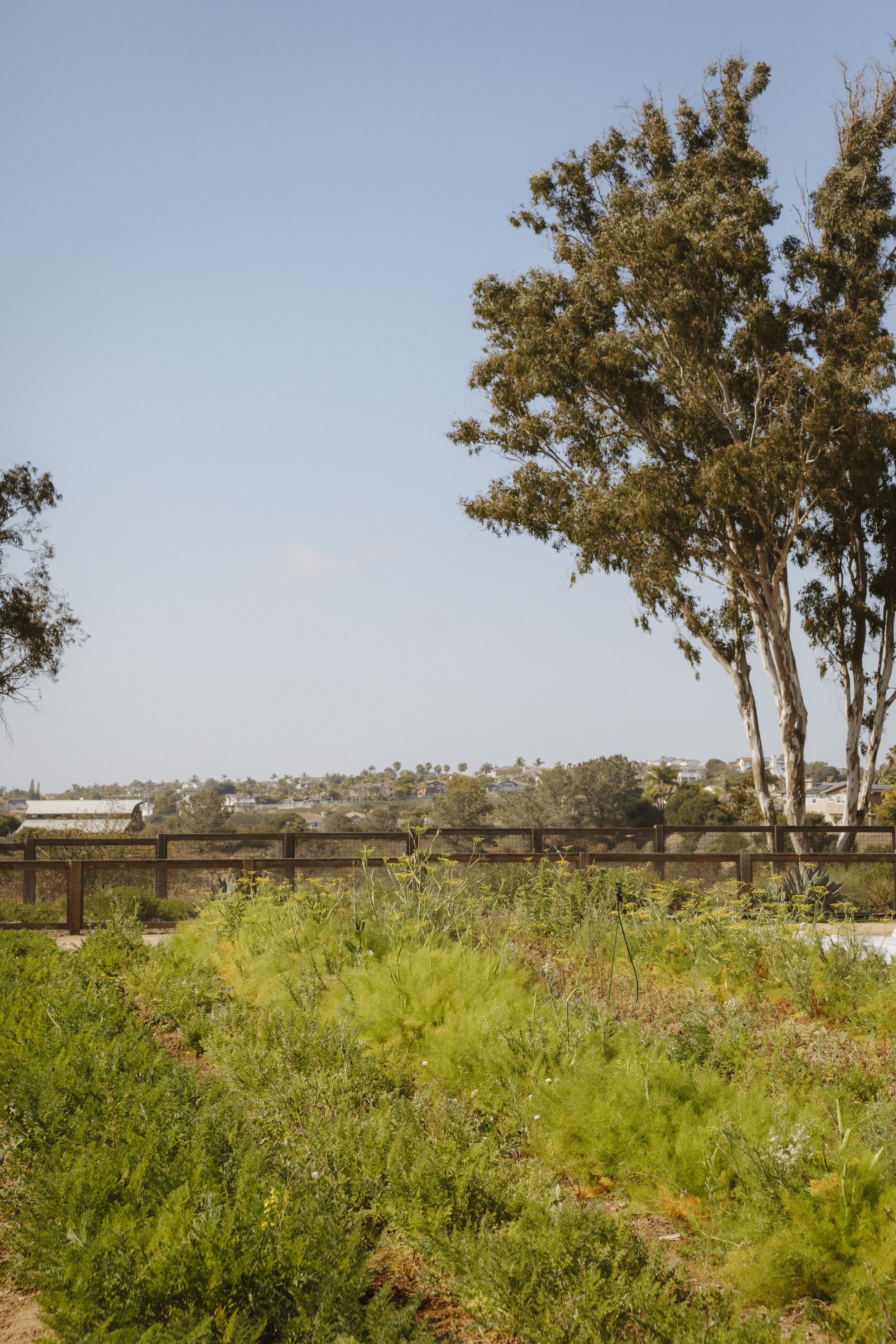 SS-SanDiego-260604-0016.jpg