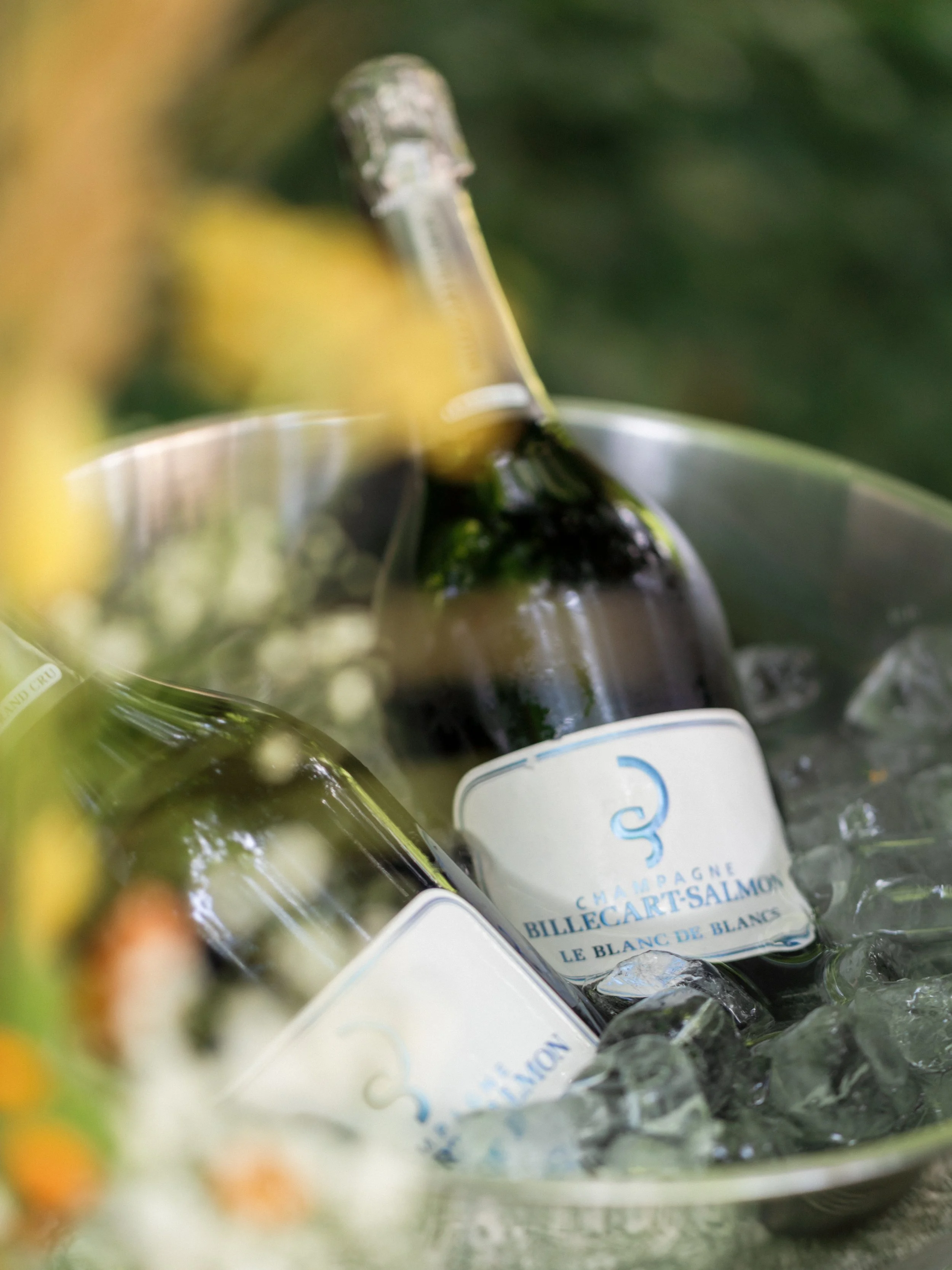 SS_Champagne_2026-13.jpg