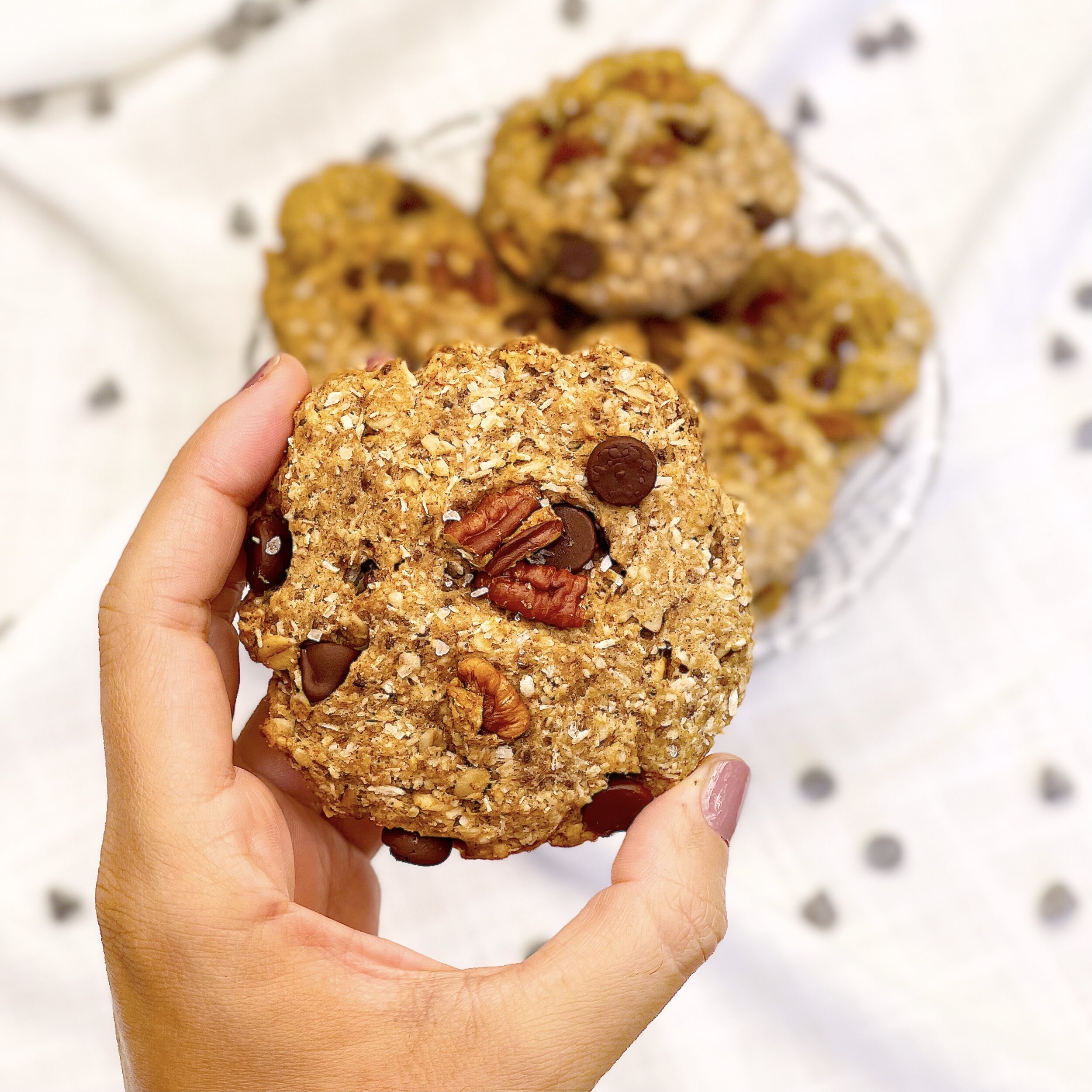 breakfast chocolate chip cookie