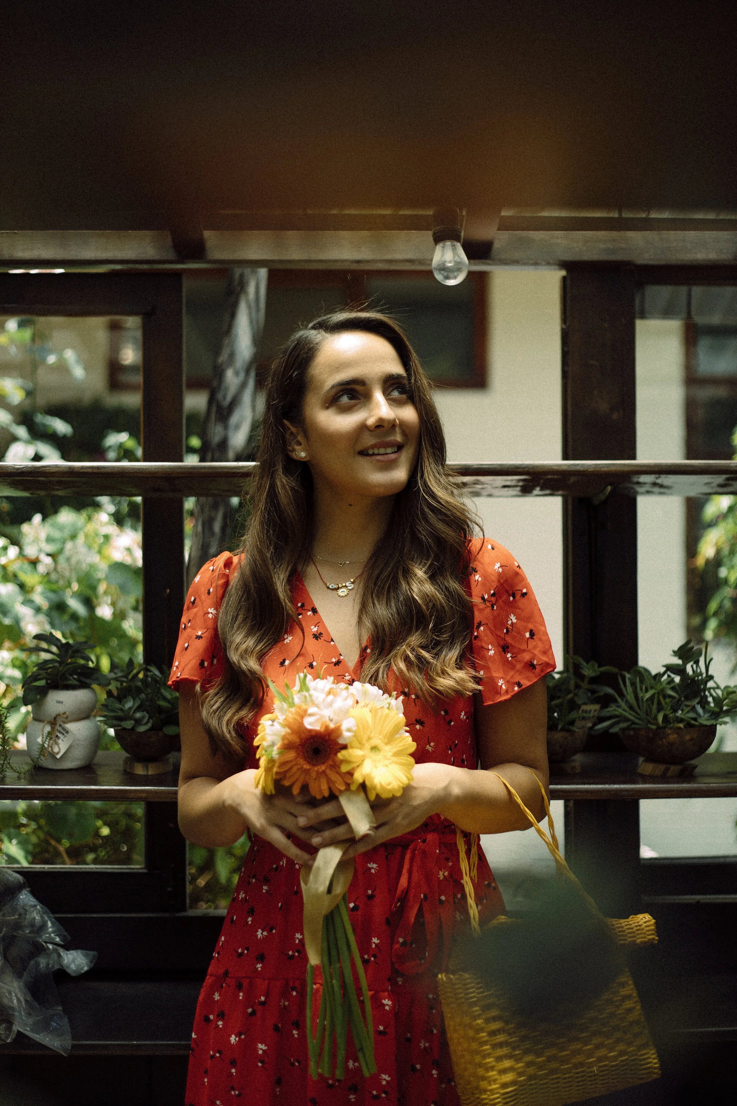 Mis Plantas Sanadoras: Caléndula