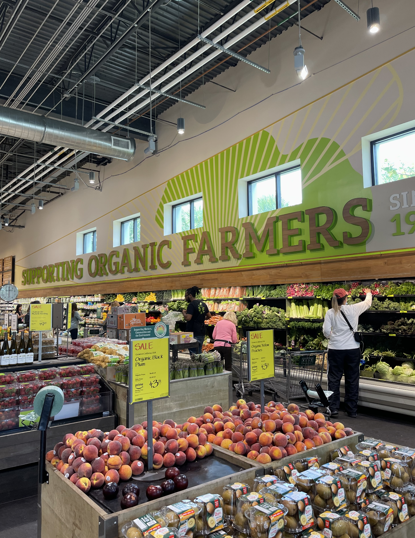 Screen Shot 2022-08-07 at 8.42.20 AM.png