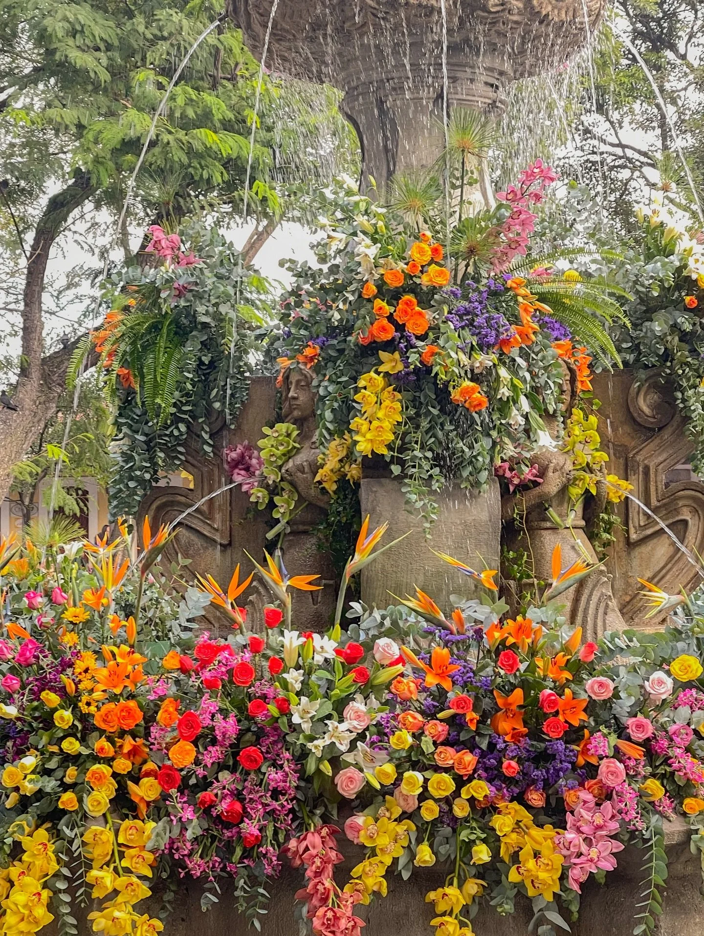 Maltiox, Antigua.

Gracias por ense&ntilde;arme lo que es habitarme
con la misma suavidad con la que cae la luz en tus calles
y la misma fuerza con la que despiertan tus volcanes.

Aqu&iacute; he aprendido que el hogar es un pulso,
una manera de sent