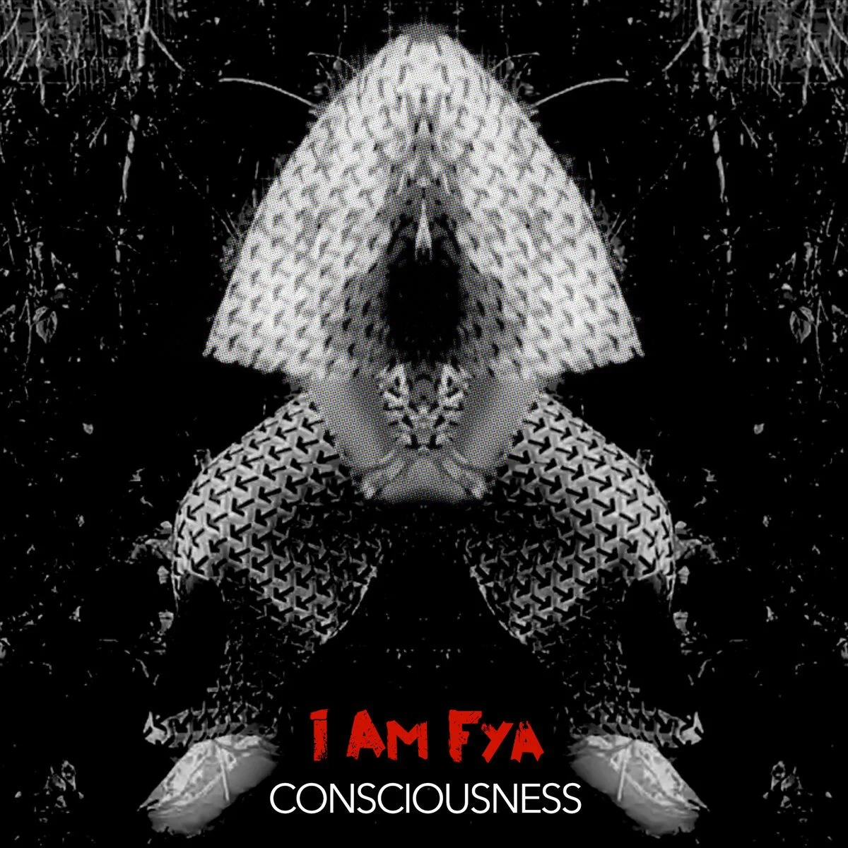 consciousness cover.jpg