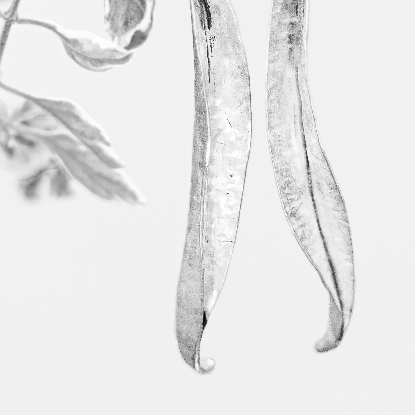 "Unfurling"