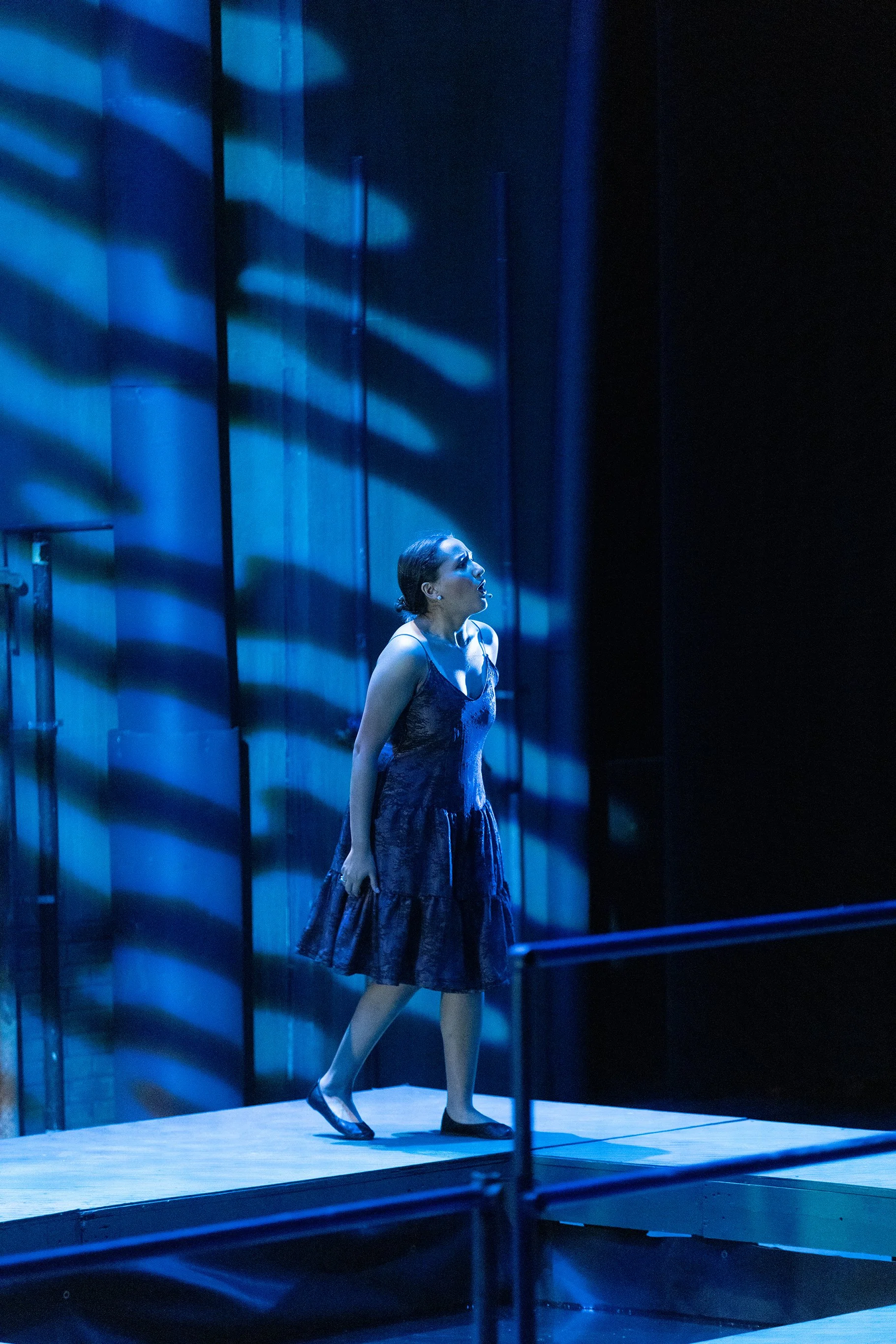 UCM_Eurycide_70-200mm (59 of 276).jpg