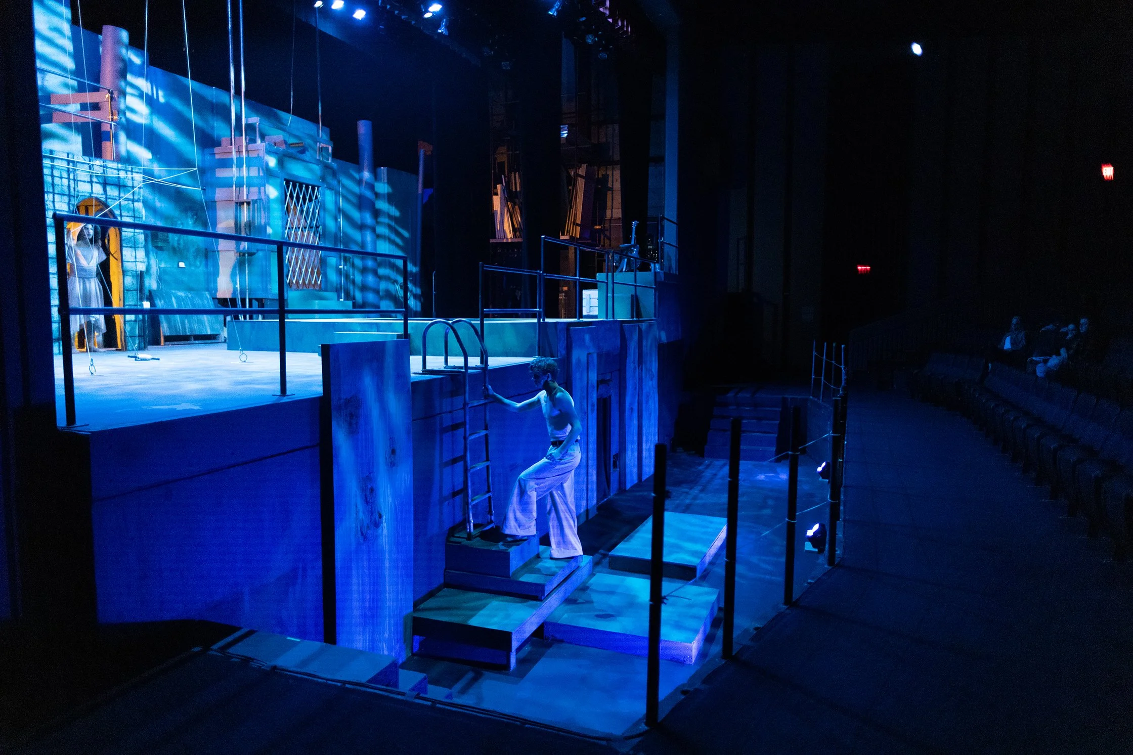 UCM_Eurycide_24mm (4 of 31).jpg