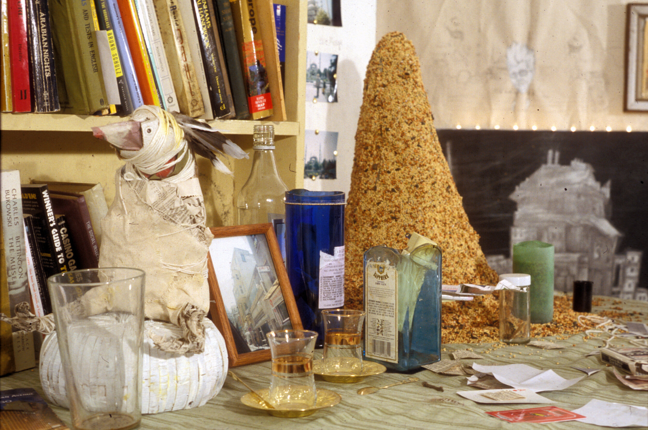 Found Object Installation with Birds