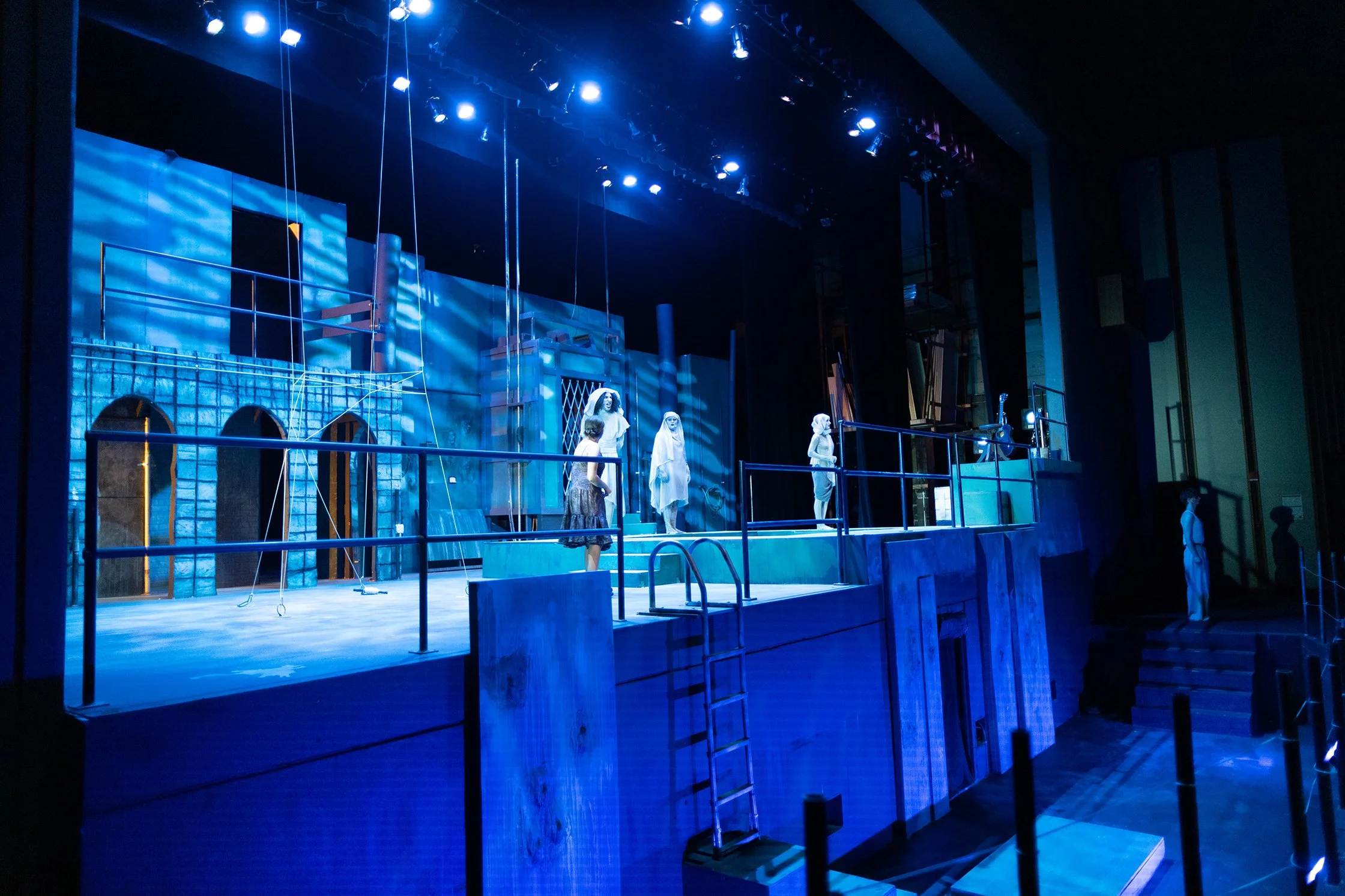 UCM_Eurycide_24mm (16 of 31).jpg