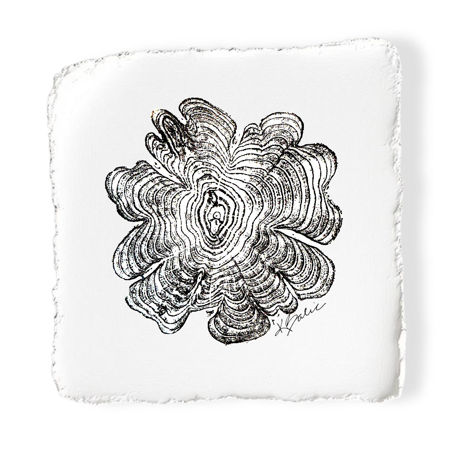 Photoroom_20251026_064806.png