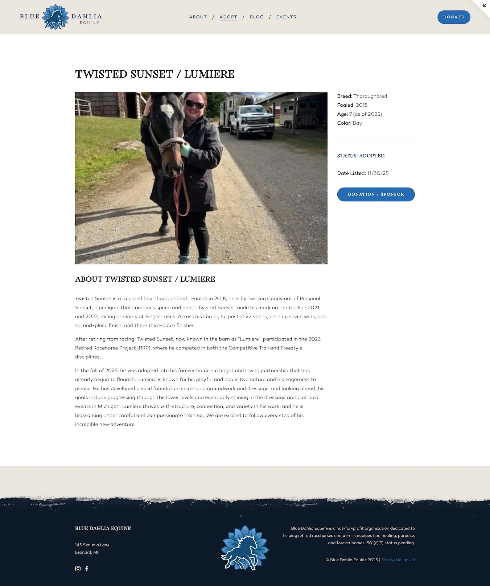 screencapture-blue-dahlia-equine-squarespace-adopted-horses-lumiere-2025-12-23-19_00_31.jpg