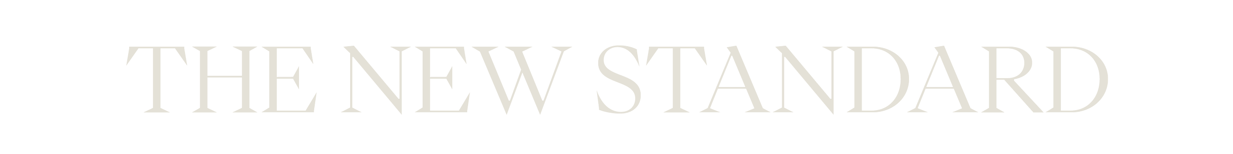 Logo of The New Standard in gray text on a black background.
