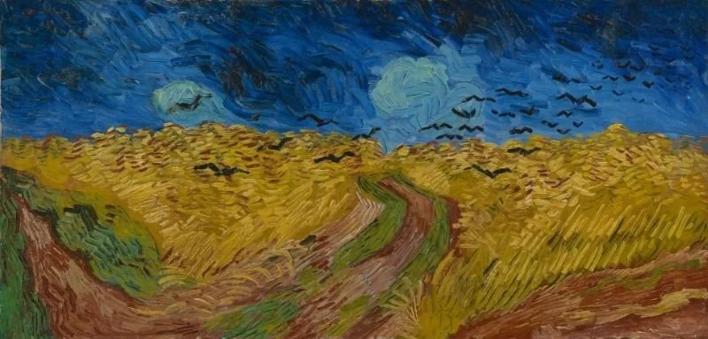 How Crows Trained Me Into Servitude