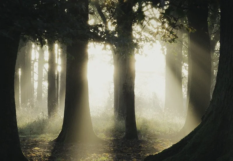 How To Spend Time In Nature To Regain Your Sanity