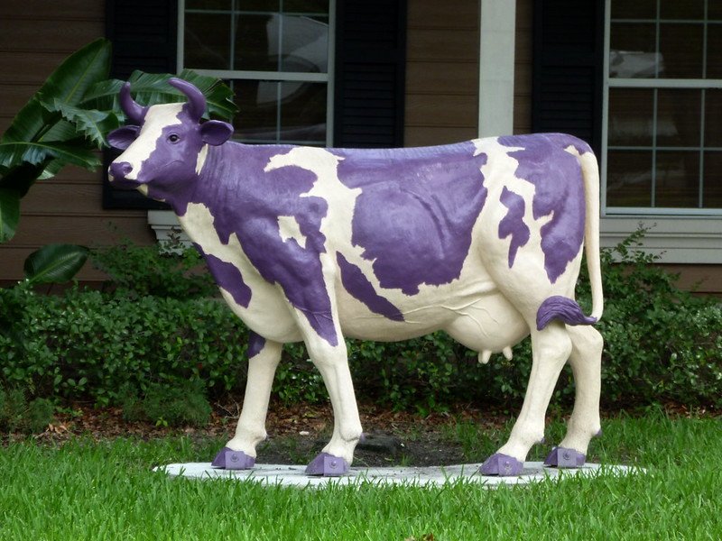 3 Ways Your Business Can Become A Talked-About Purple Cow