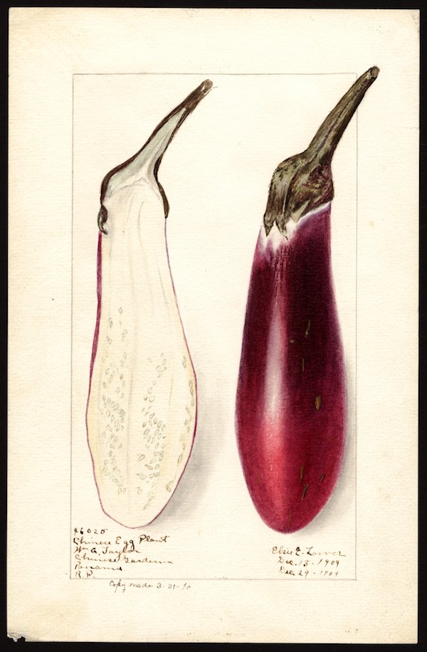 How To Cultivate Joy As Easily As Eggplant Or Peppers