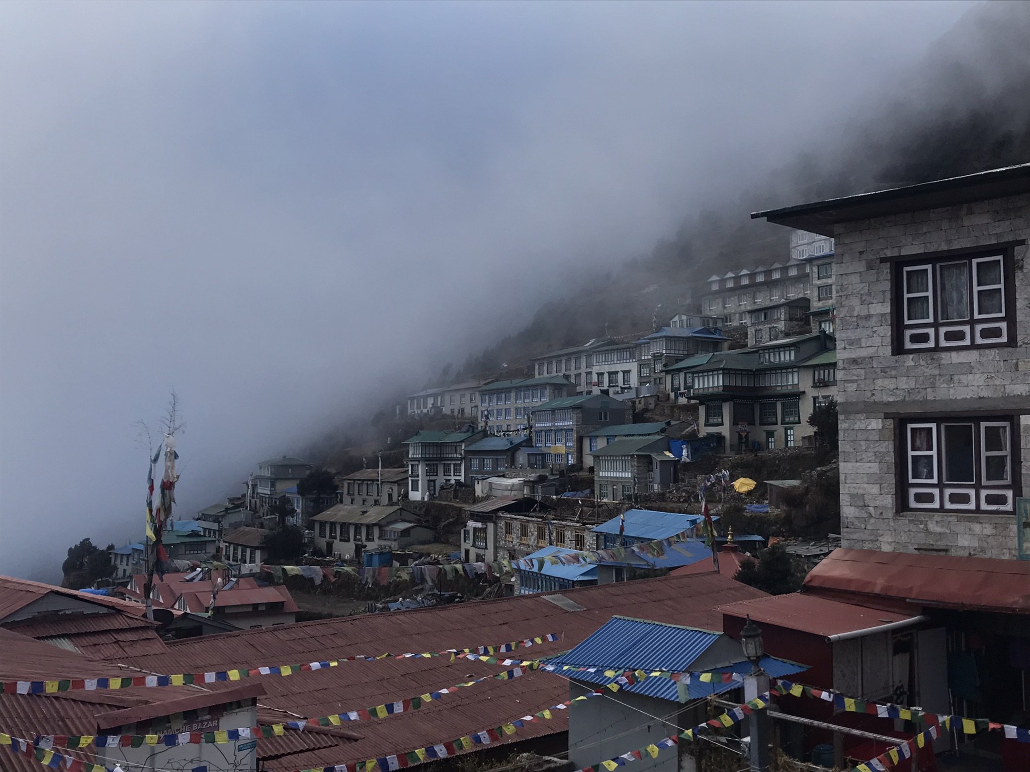IMG_0352.jpeg