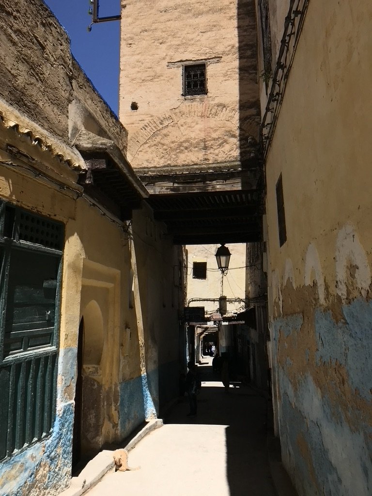 BA0AF7CA-5A2E-40A4-9EB3-4695E7616AB8_1_105_c.jpeg