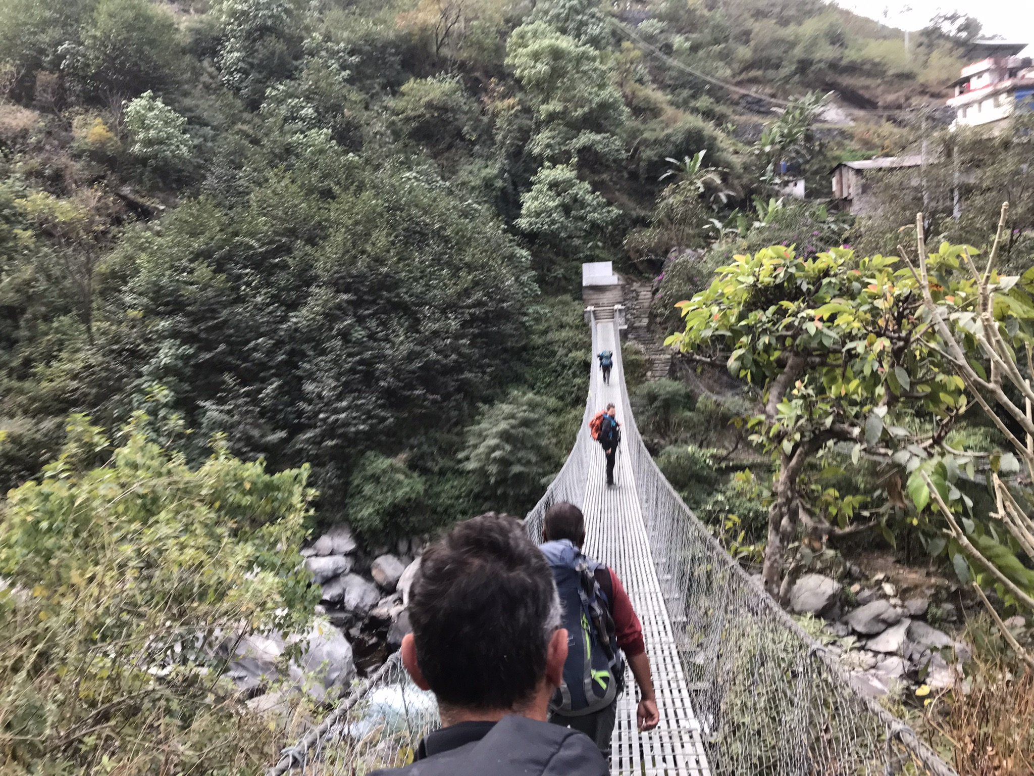 IMG_8590(1).jpeg