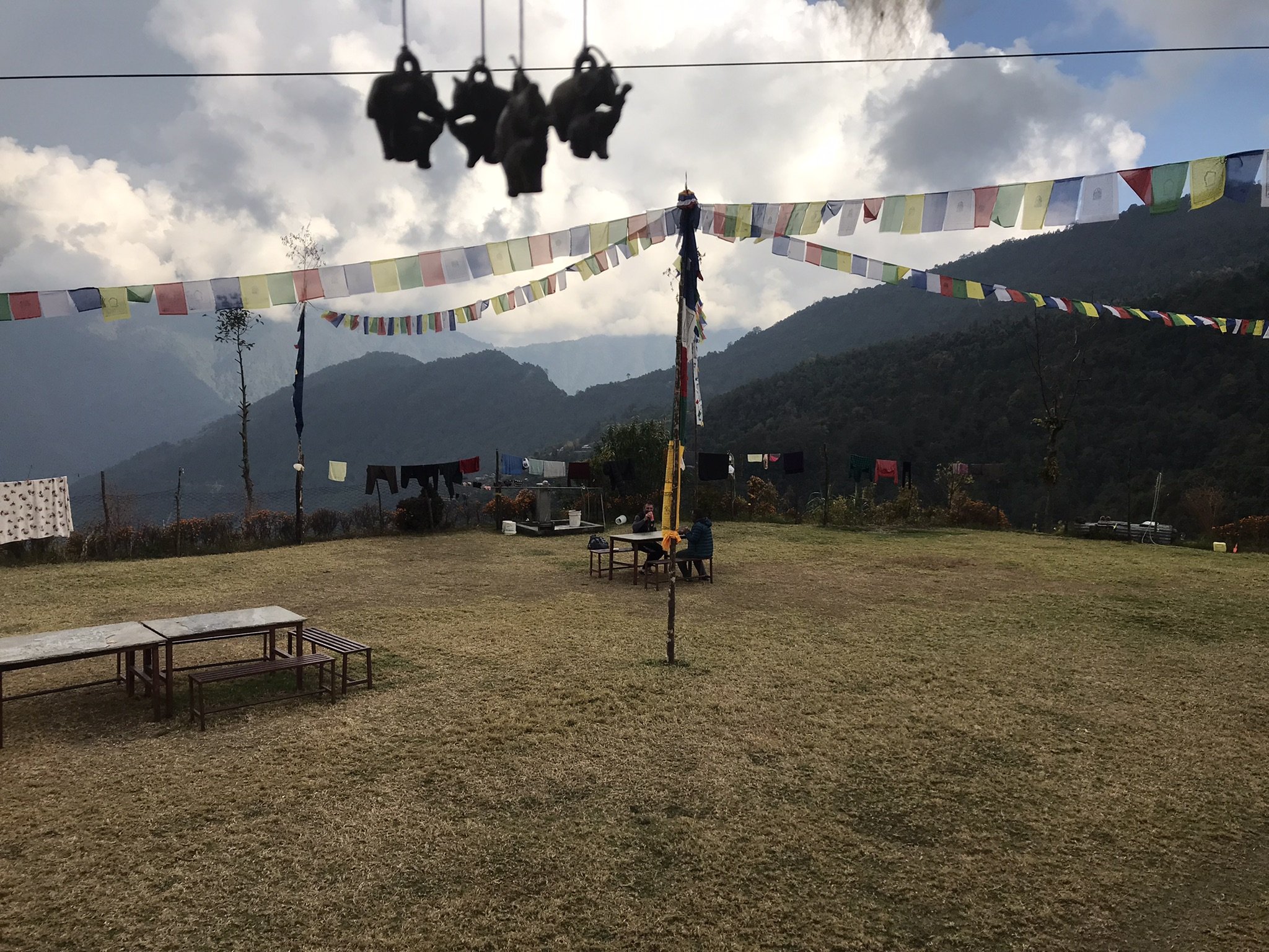 IMG_8862(1).jpeg