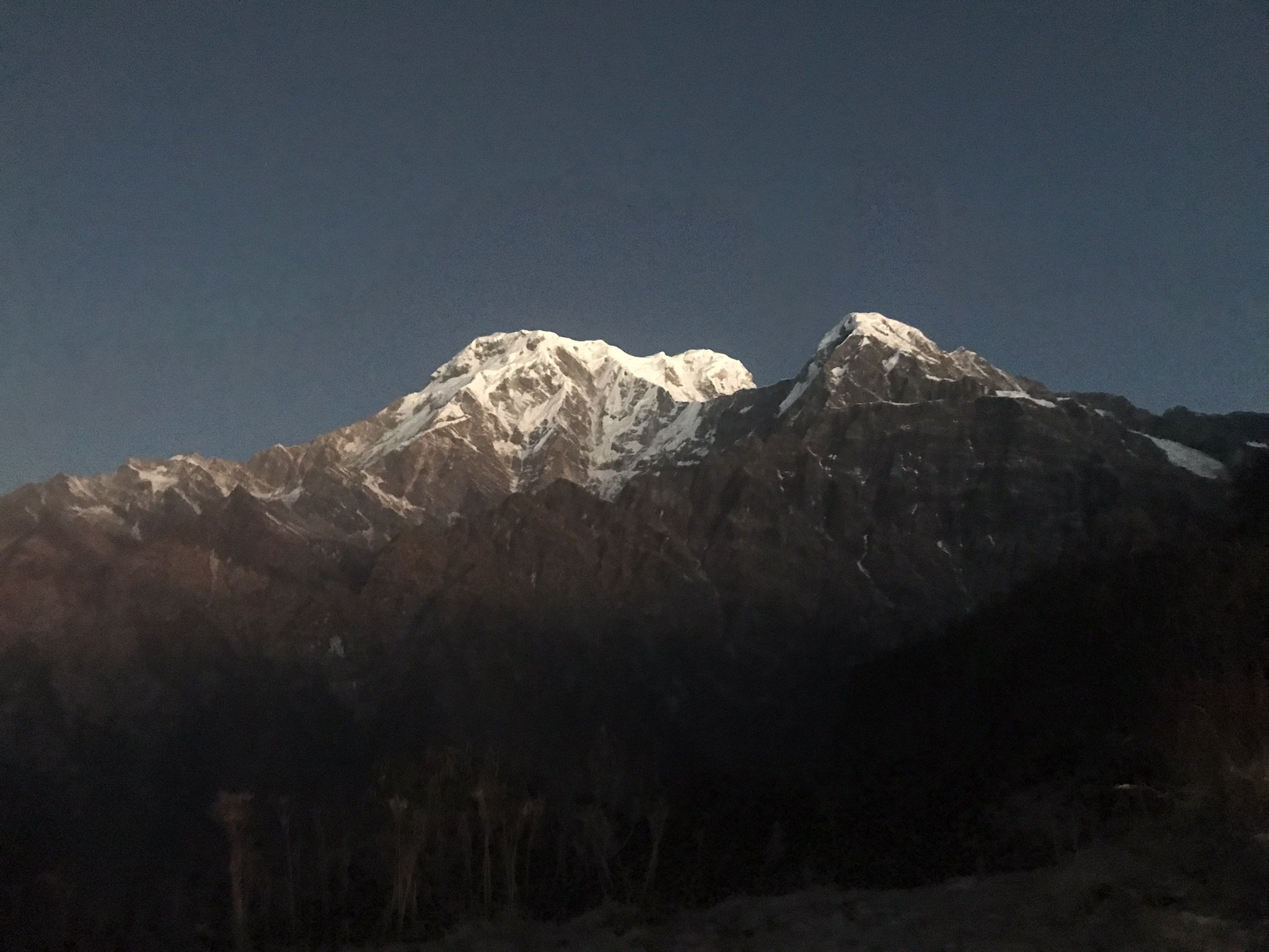 IMG_9203.jpeg