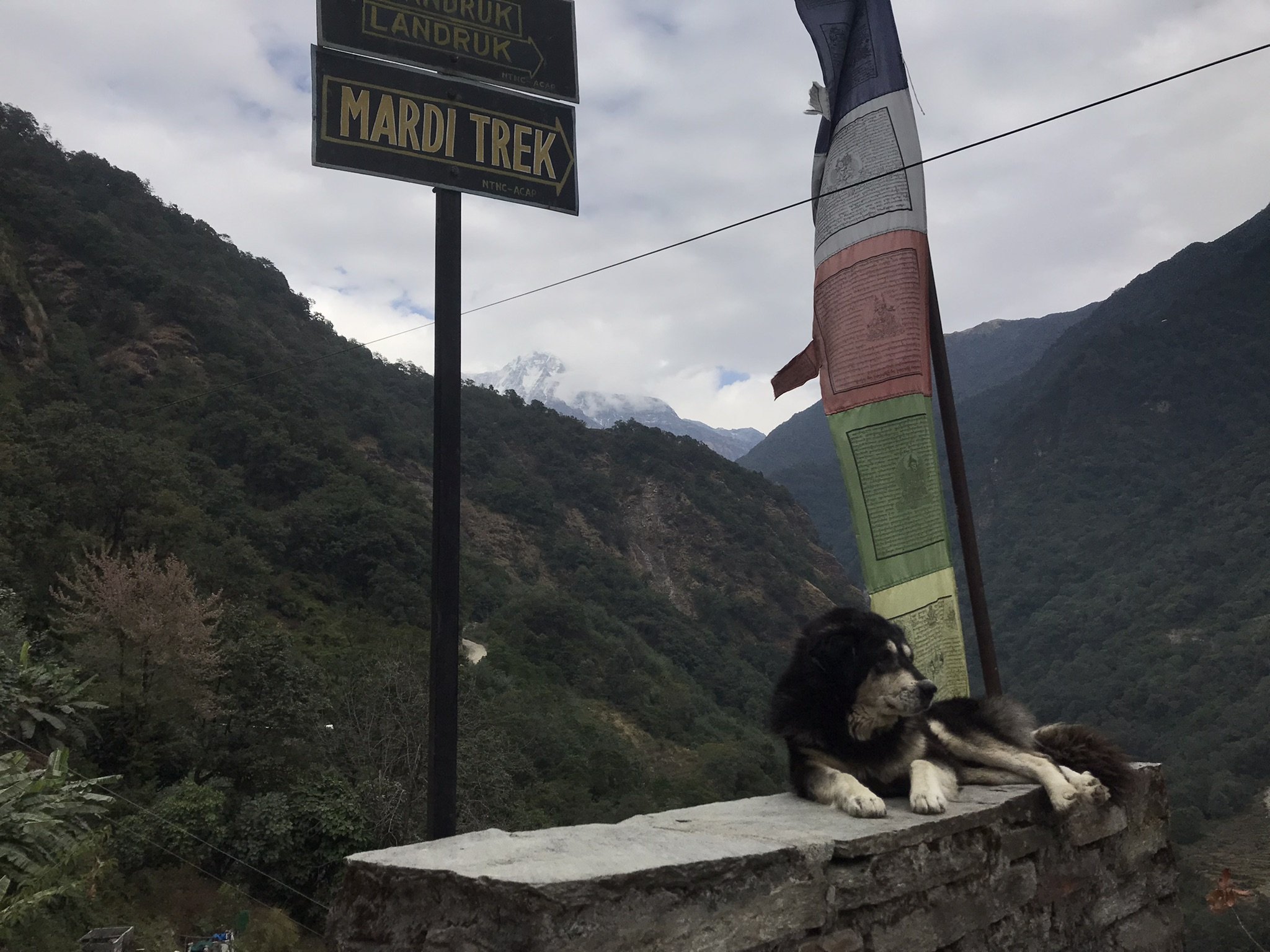 IMG_9032(1).jpeg