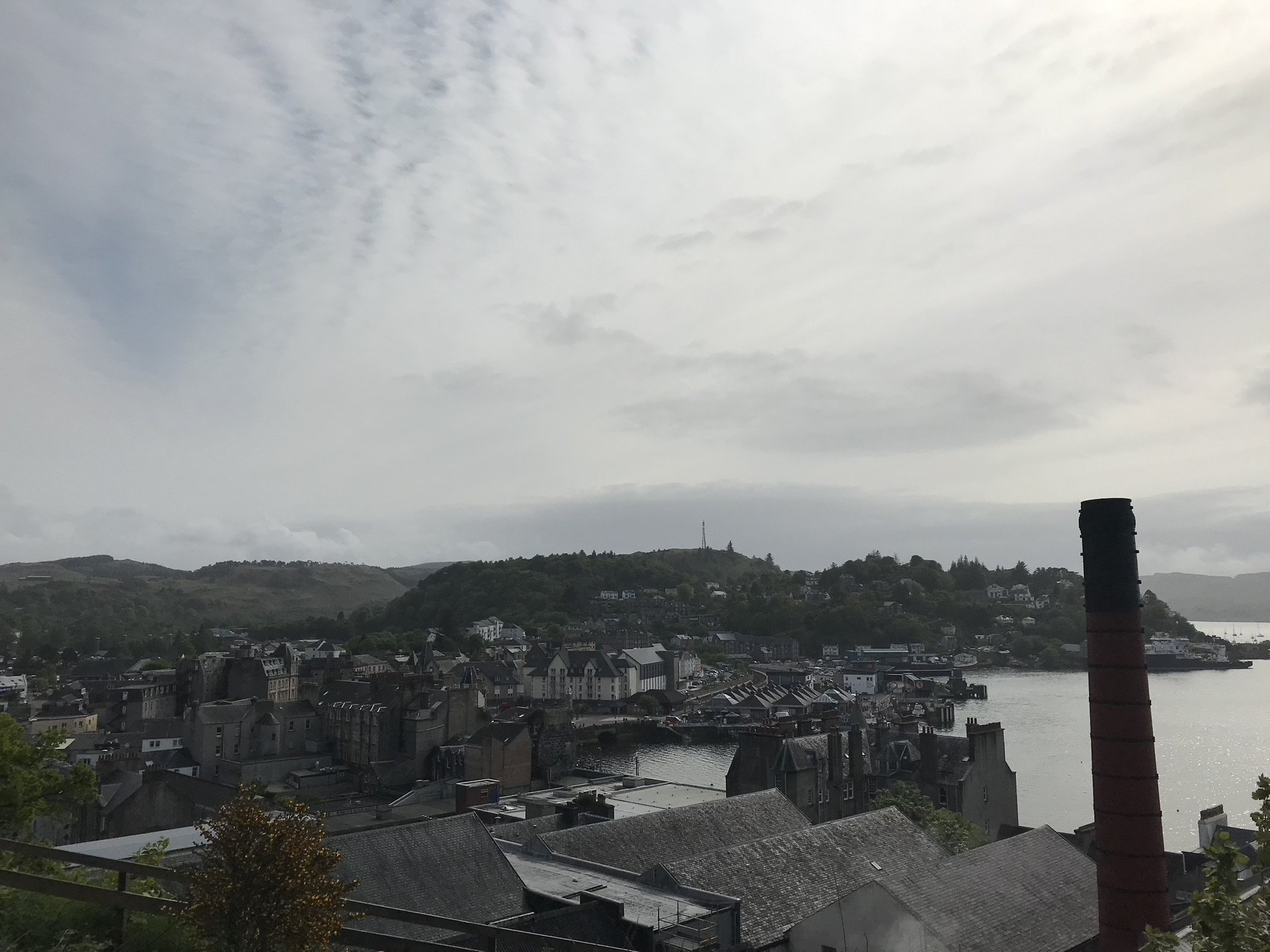 971D5477-BA74-490C-9041-9A360BF98509_1_102_o.jpeg