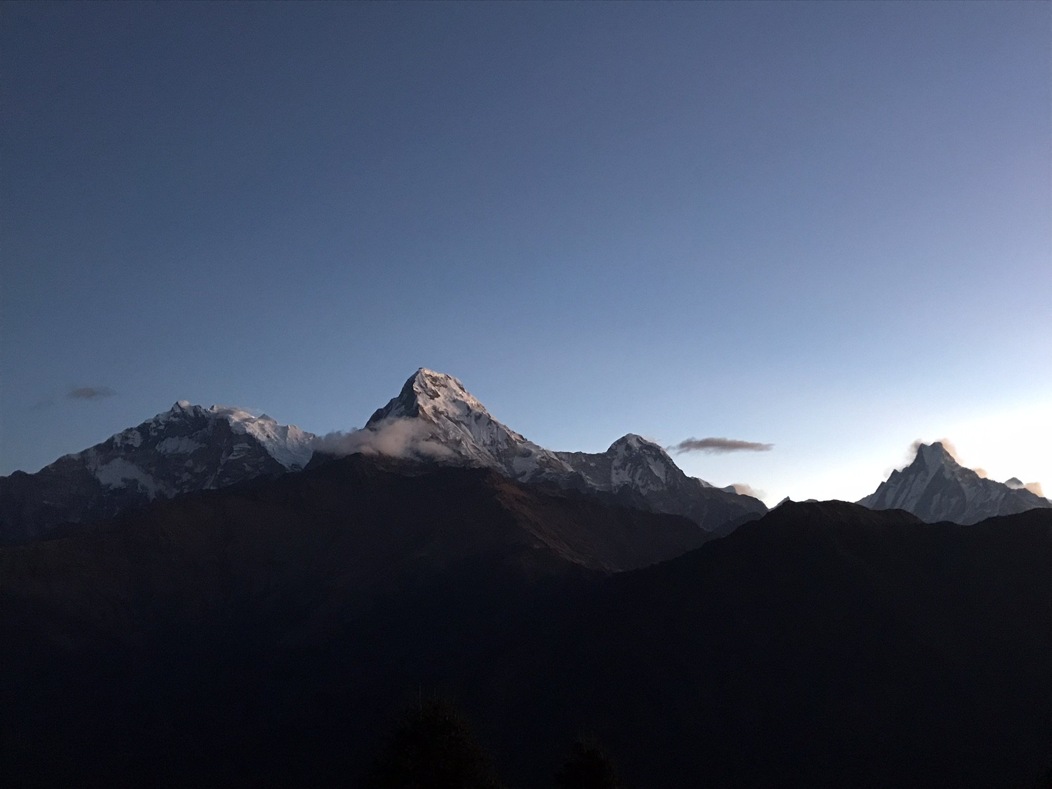 IMG_8698(1).jpeg