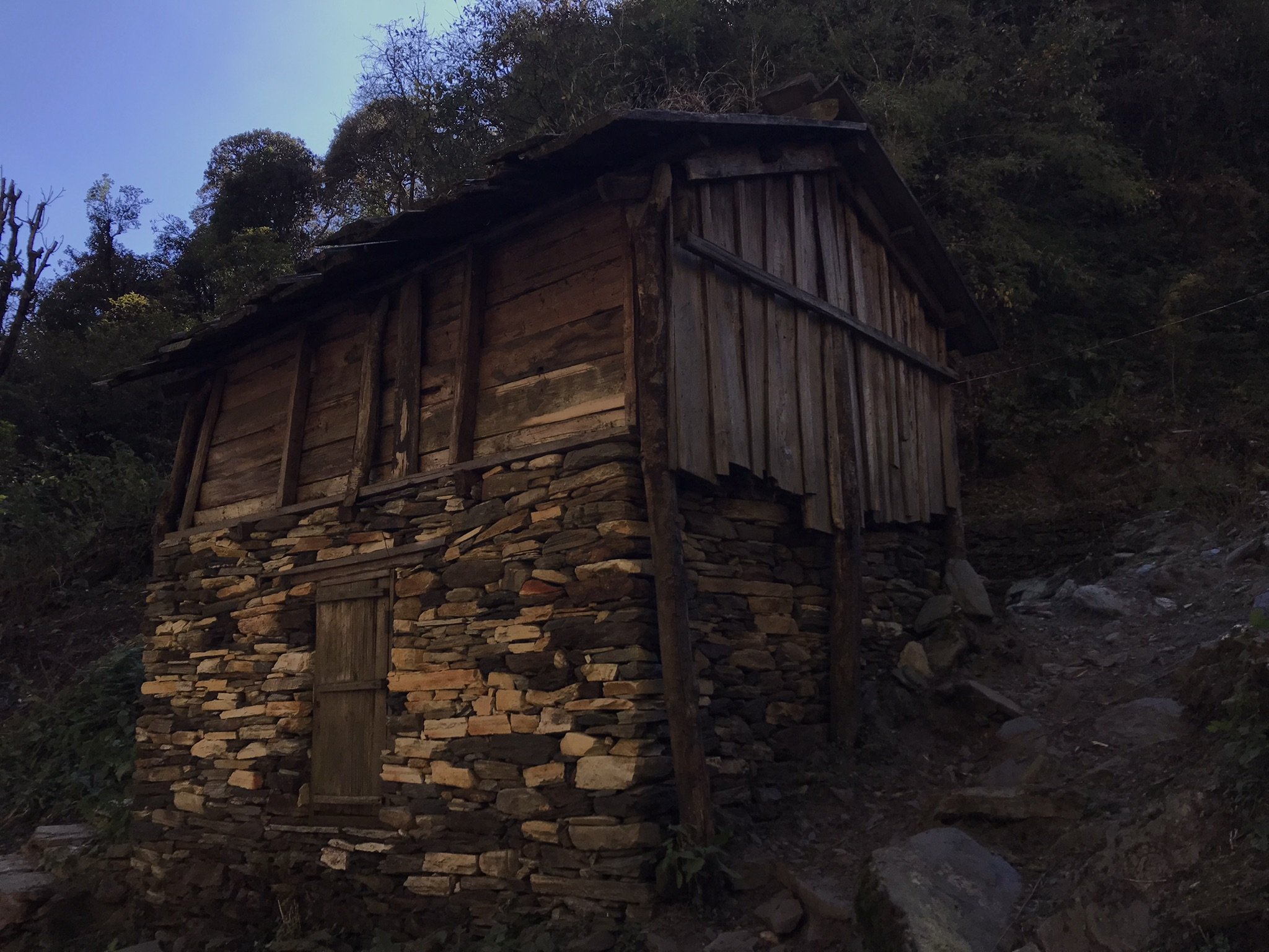 IMG_8802(1).jpeg