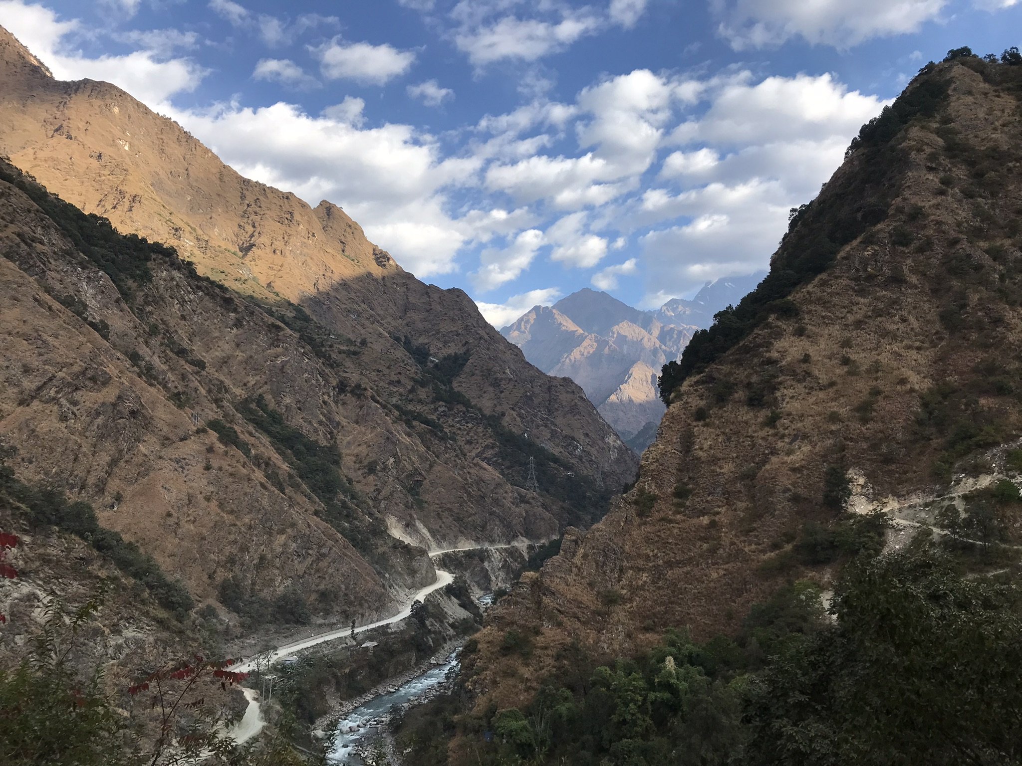 IMG_8593(1).jpeg