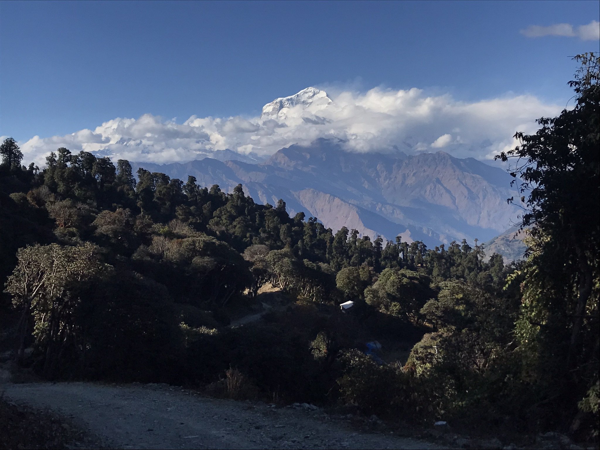 IMG_8679(1).jpeg