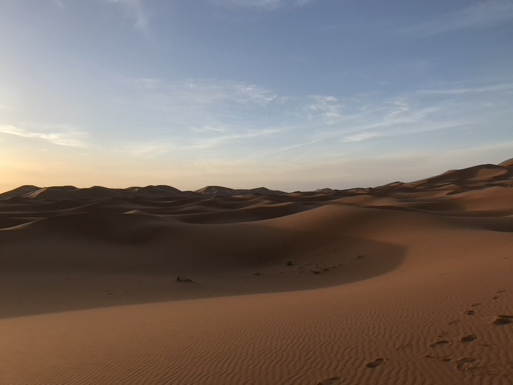 EEC036EA-F98F-483F-B49C-430EDA78880E_1_105_c.jpeg