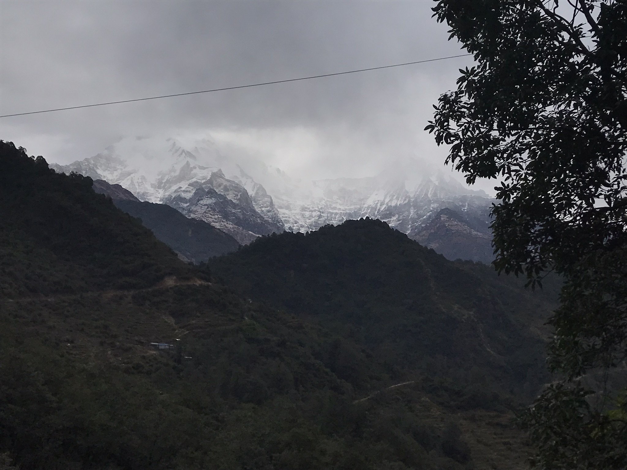 IMG_8974(2).jpeg