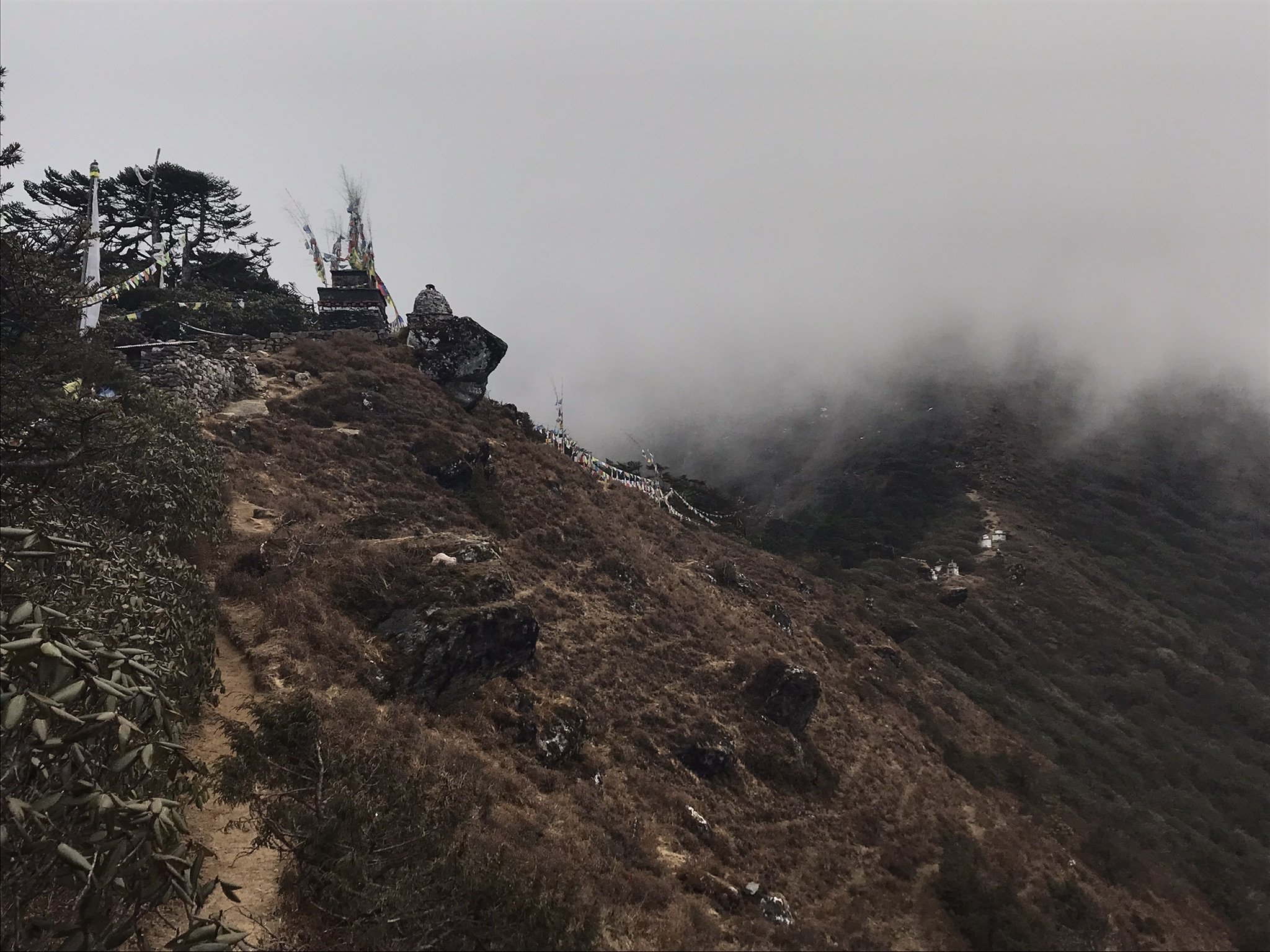 IMG_0712.jpeg