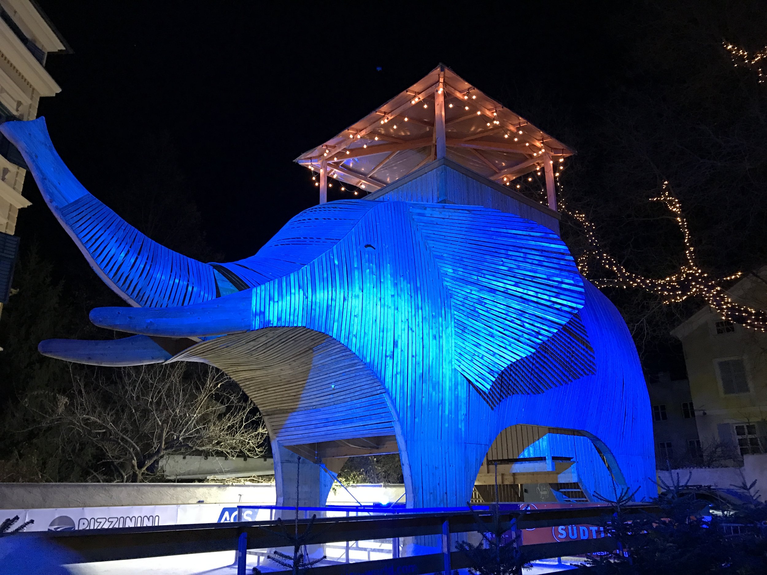 The Elephant In The Room