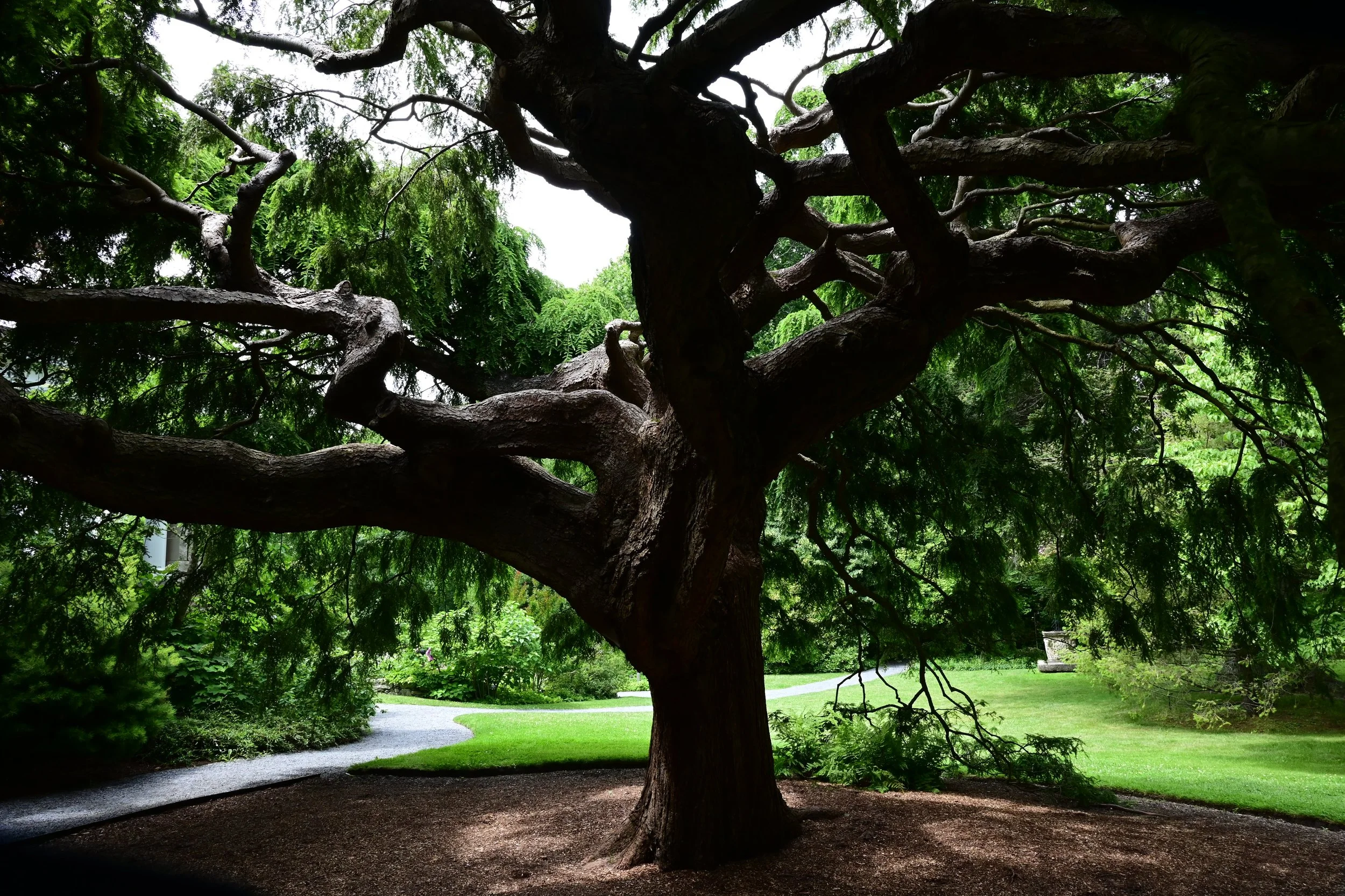 Acceptance vs. Surrender