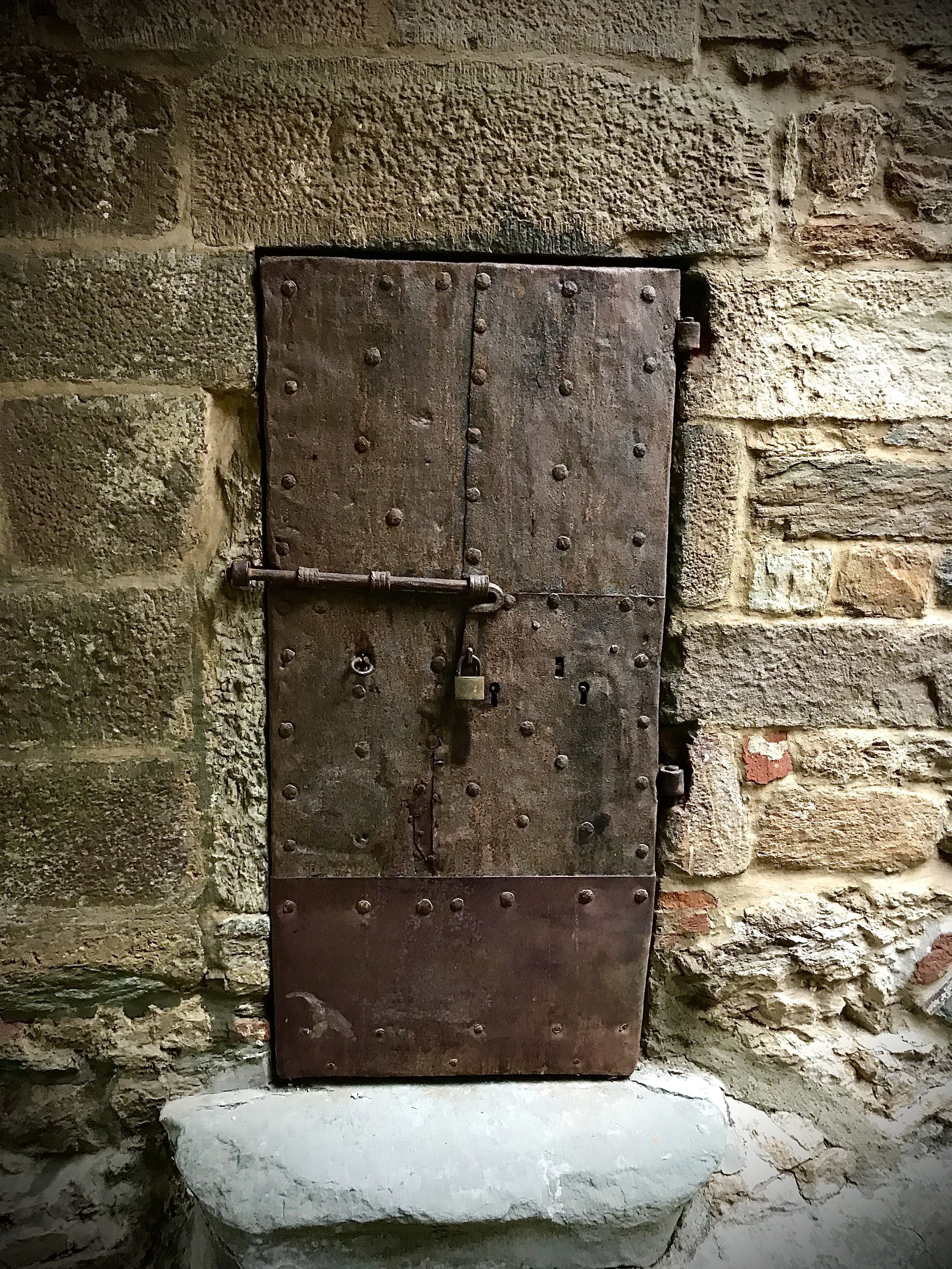 Curiosity: Our Emotional Core and Why It Matters