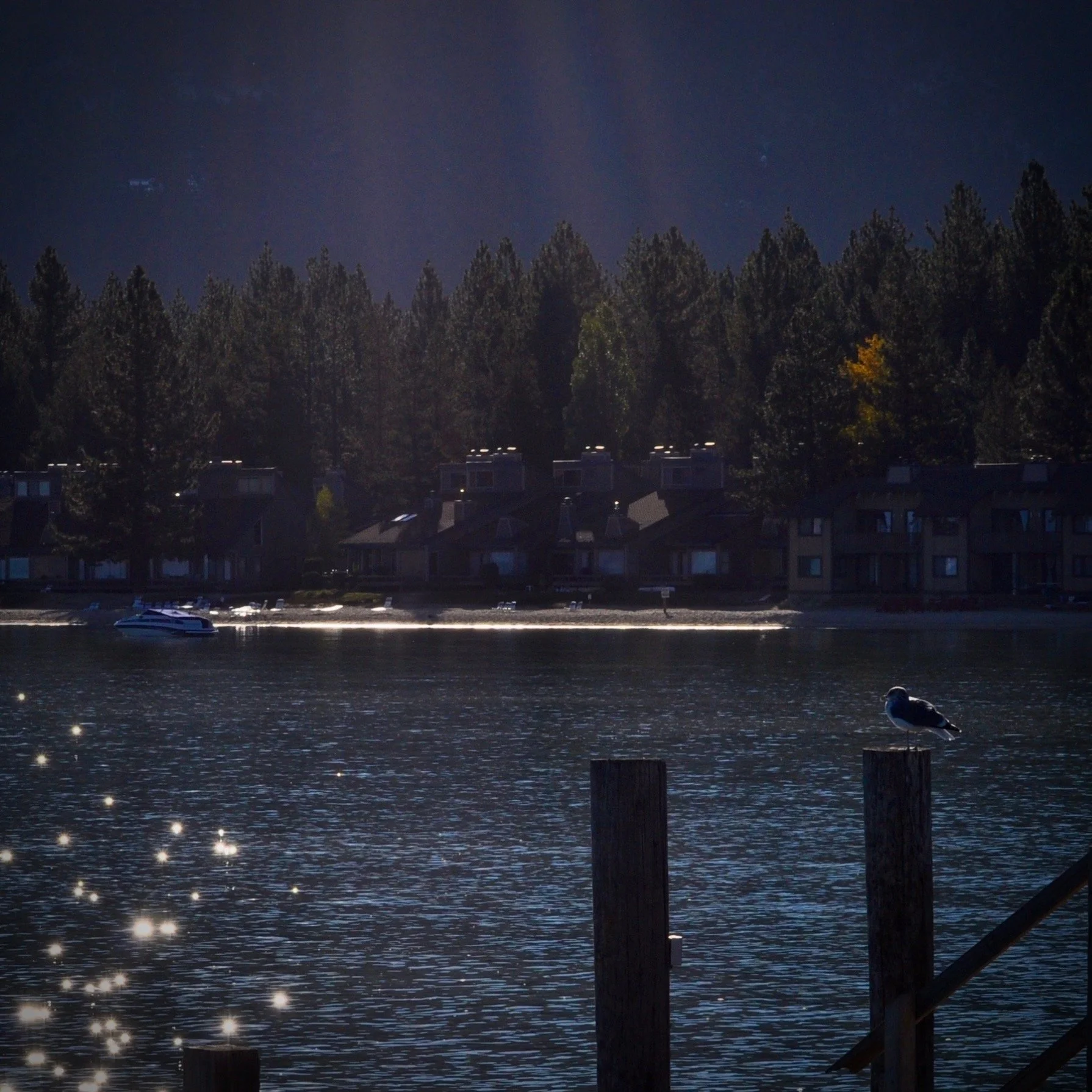 The Everyday Mystic: A Return to Essence