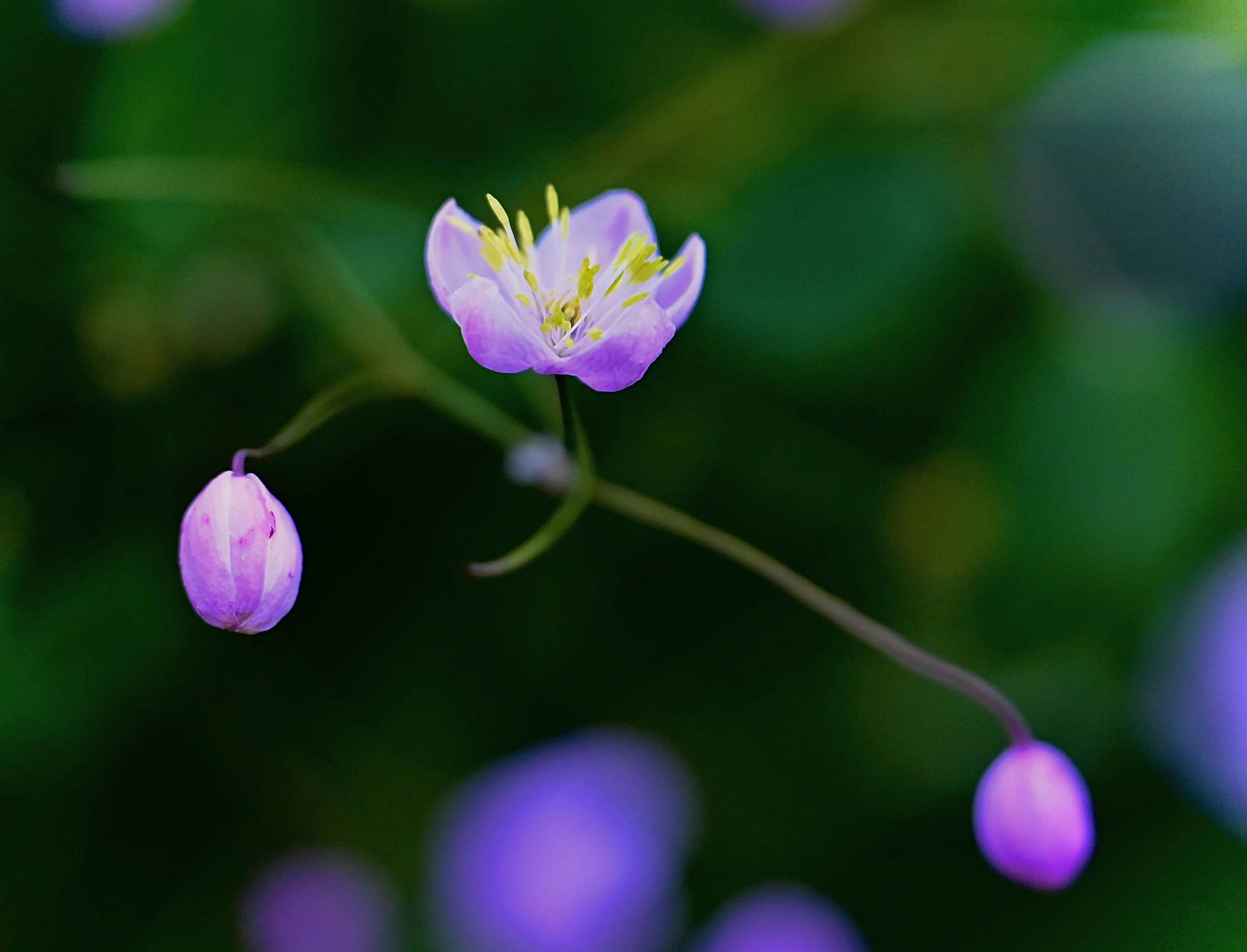 The Space Between the Ideas