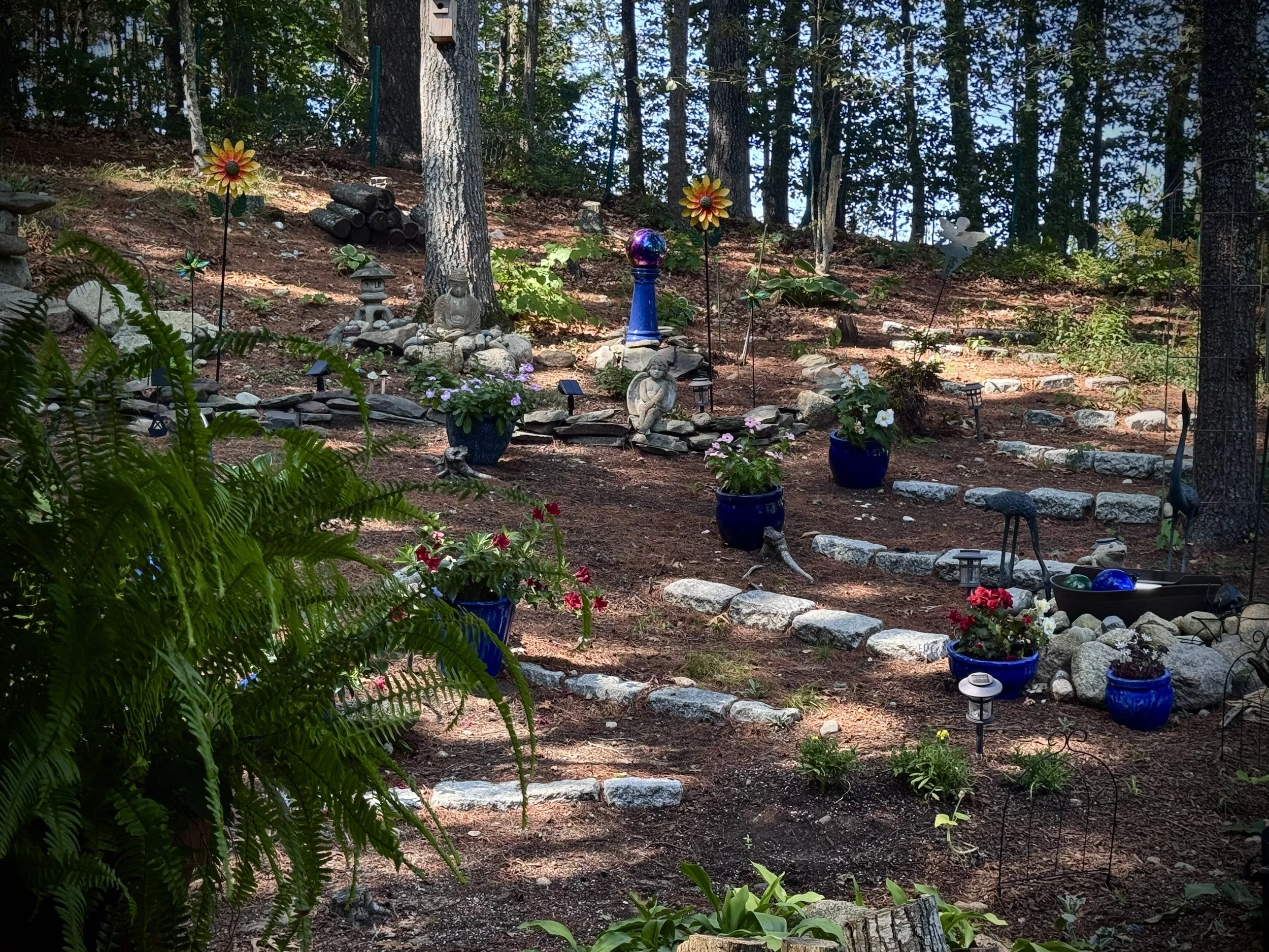 The Garden That Teaches