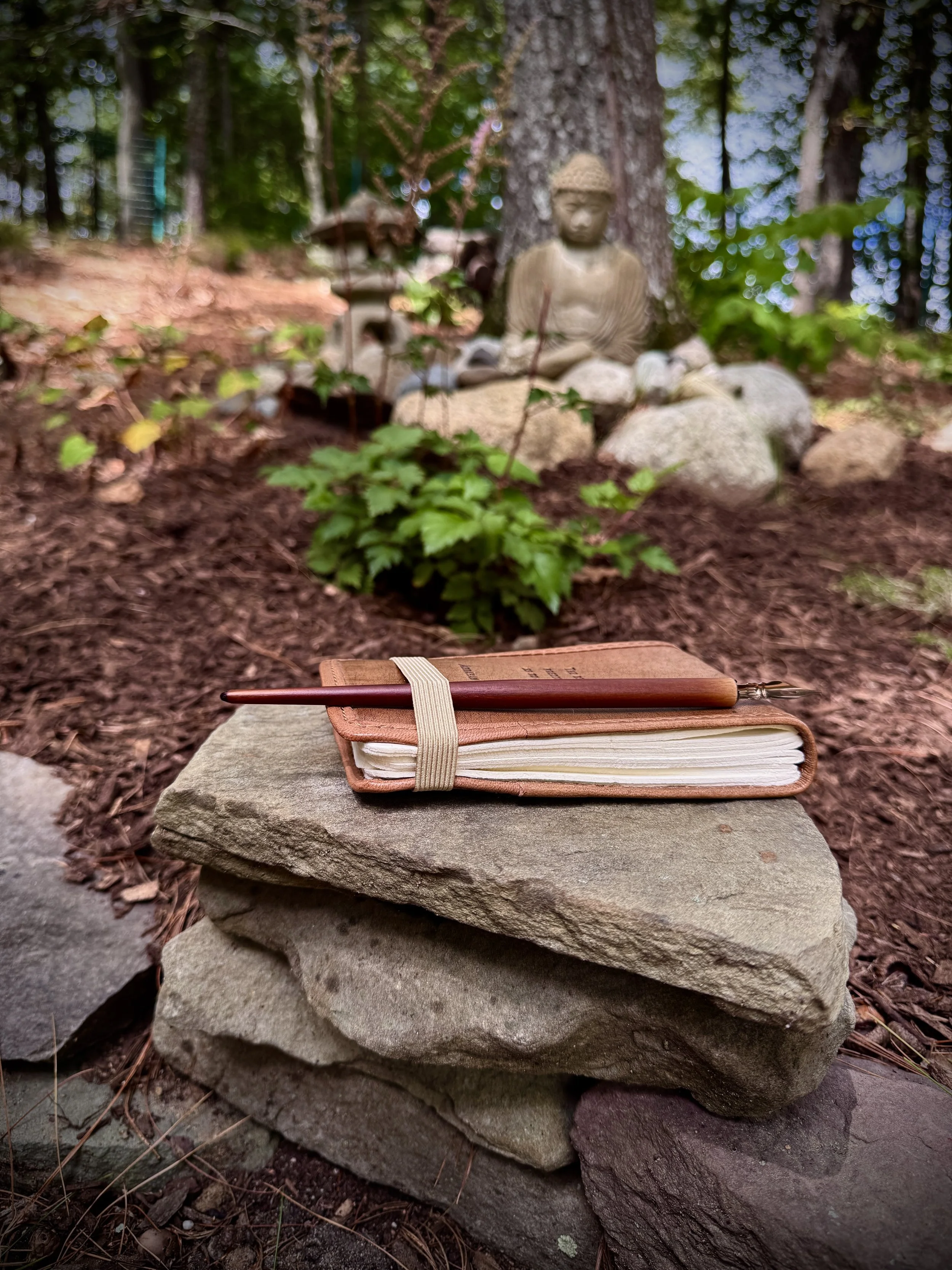 Field Notes for the Heart