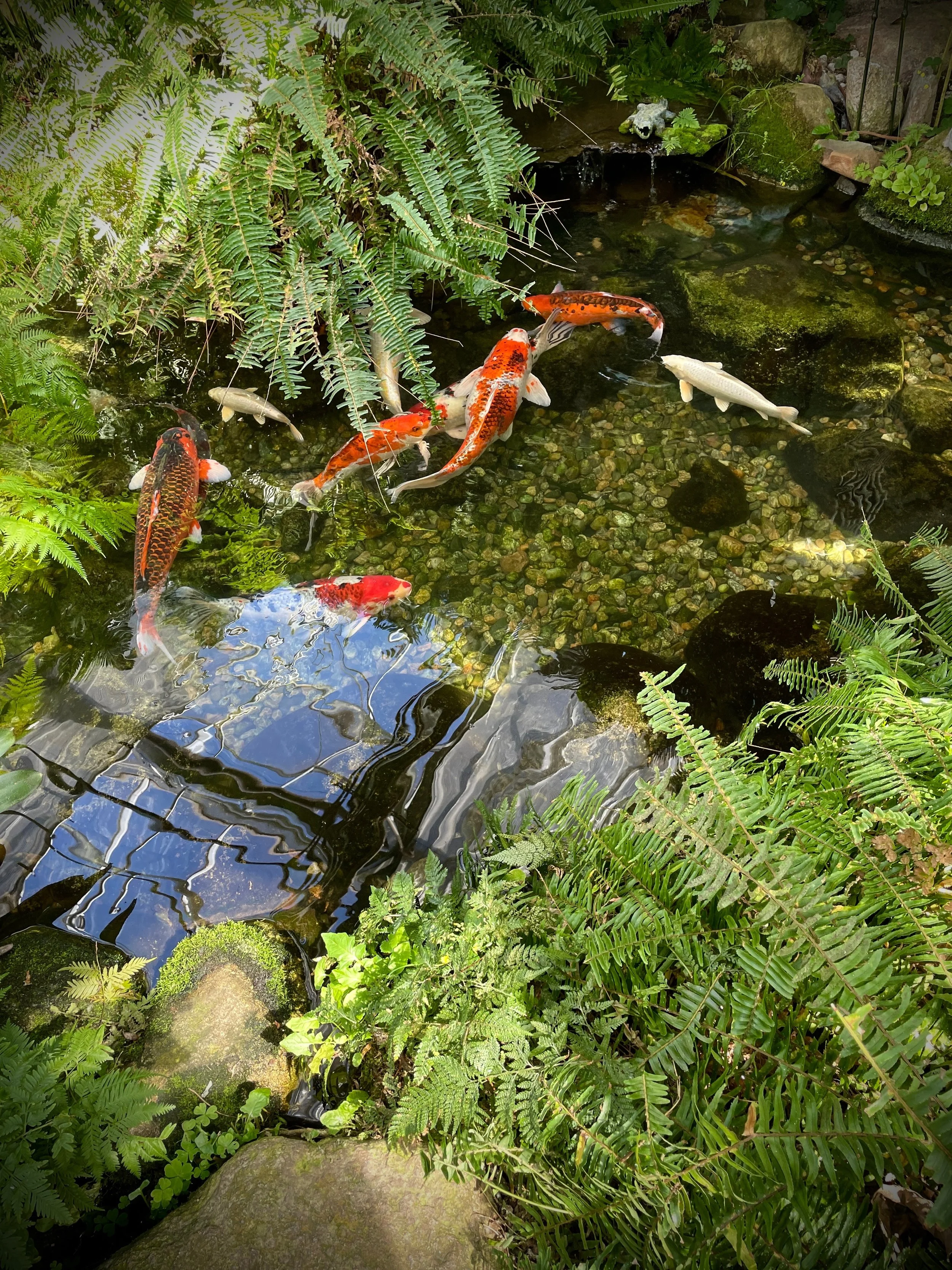 Understanding Your Flow